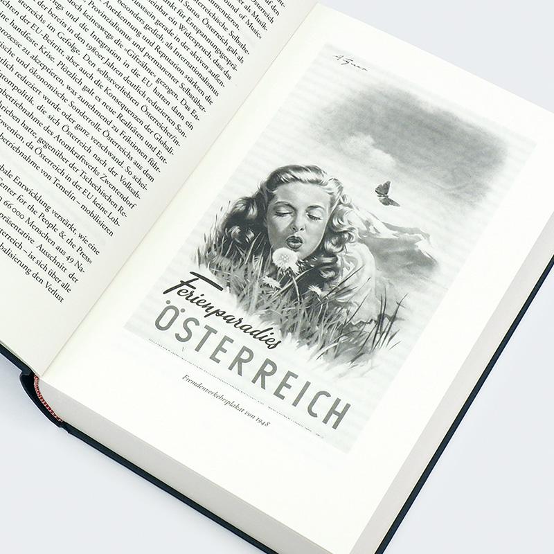 Beispielinhalt (Bild) Die paradoxe Republik