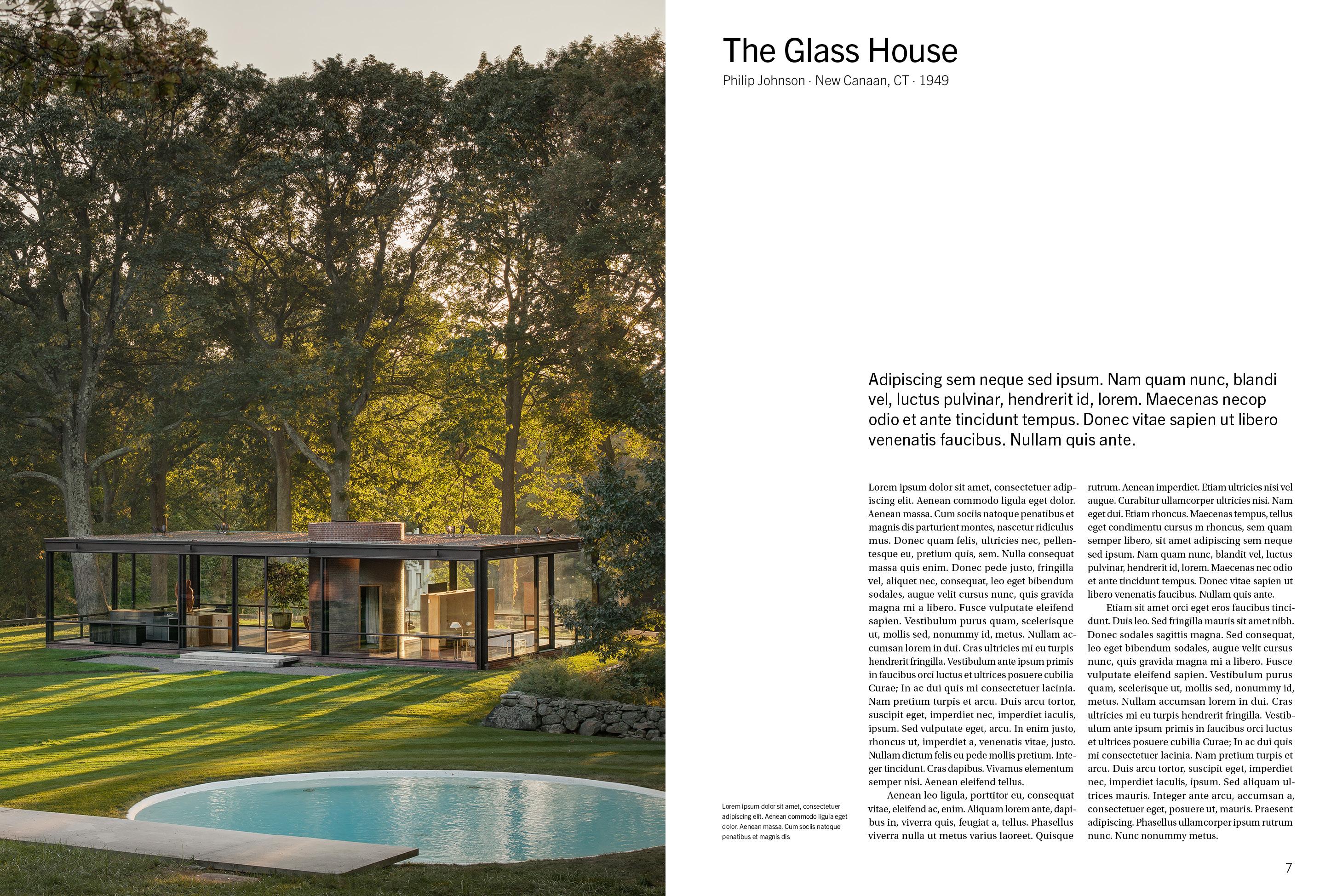 Beispielinhalt (Bild) American Icons Volume 2