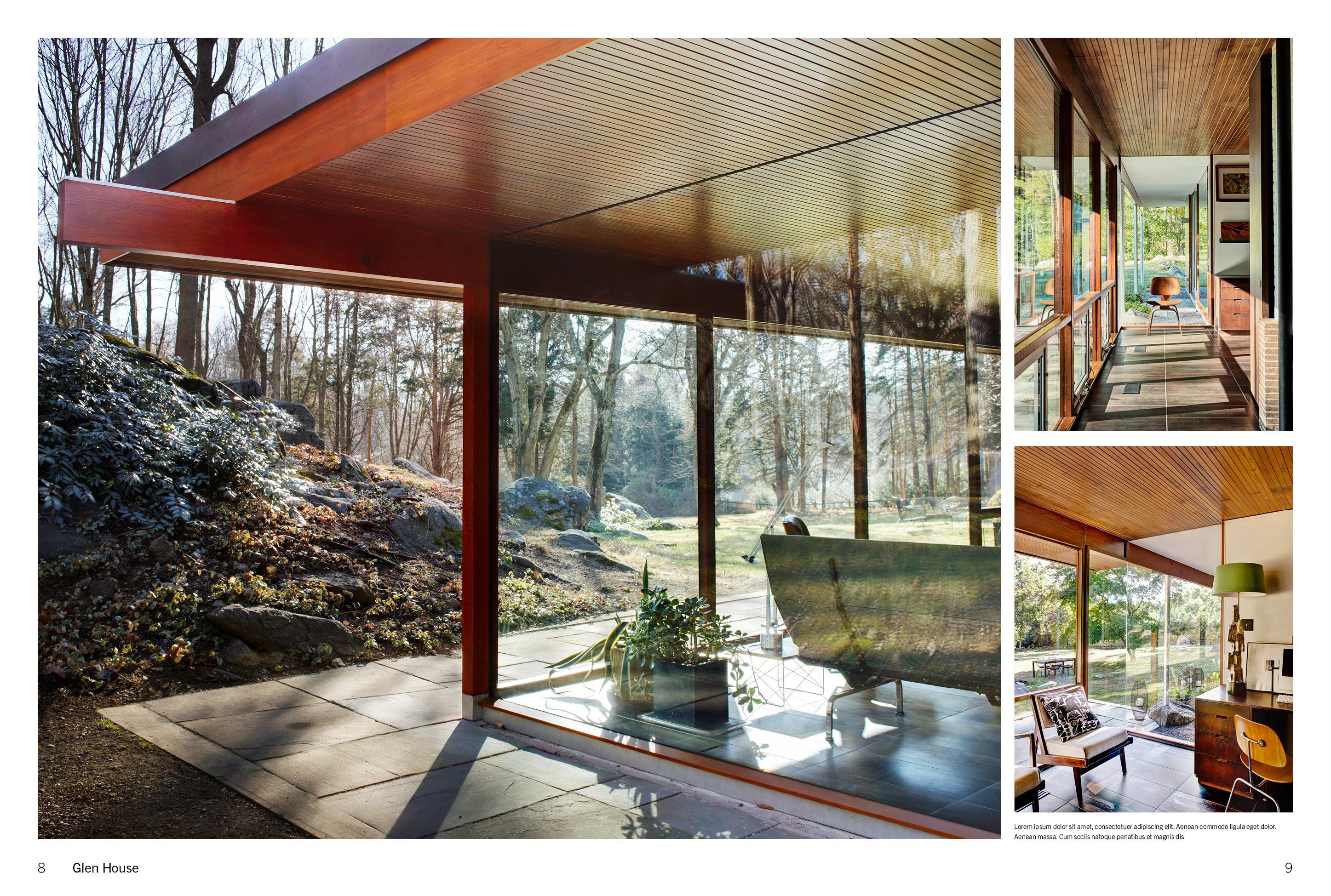 Beispielinhalt (Bild) American Icons Volume 2