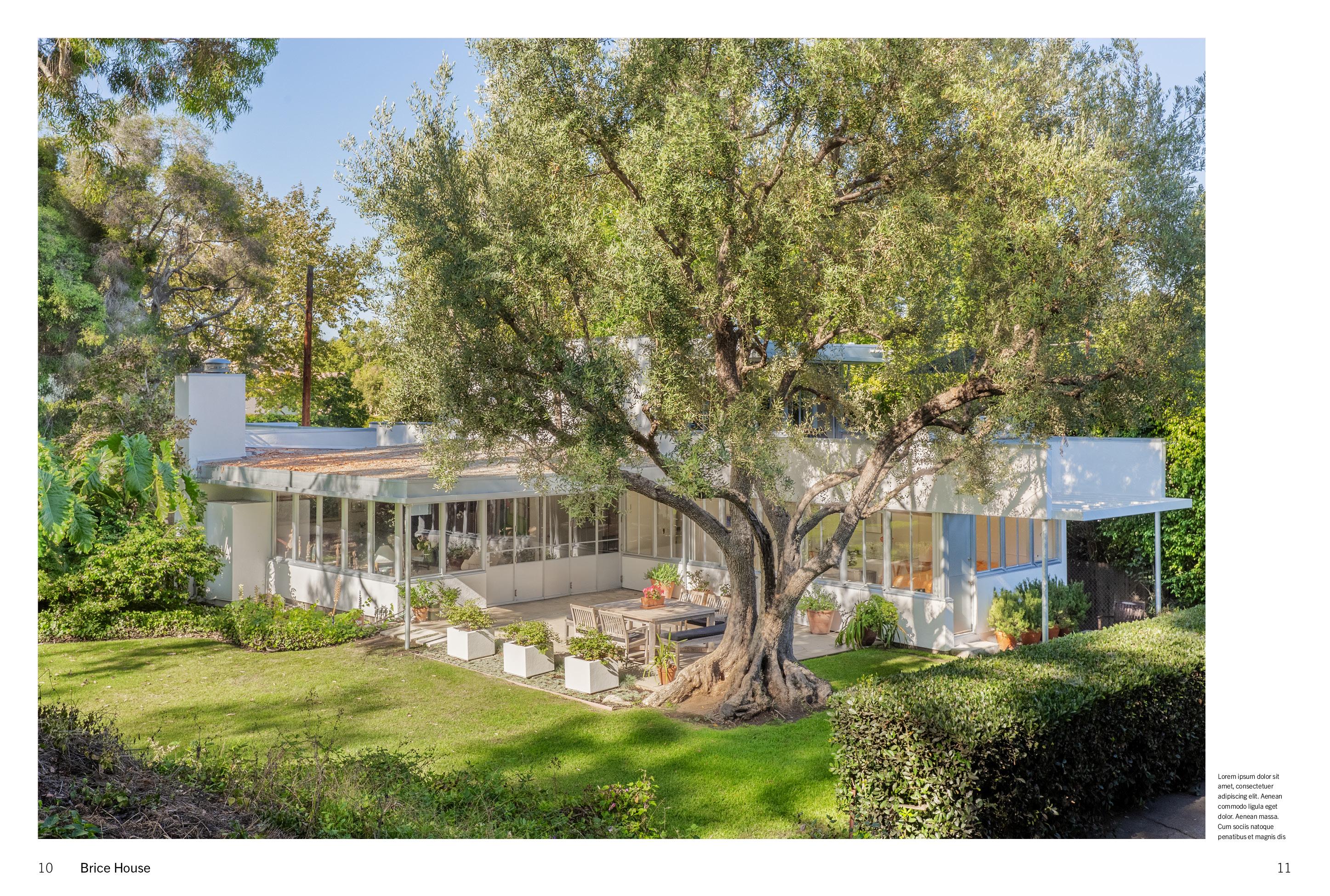 Beispielinhalt (Bild) American Icons Volume 2