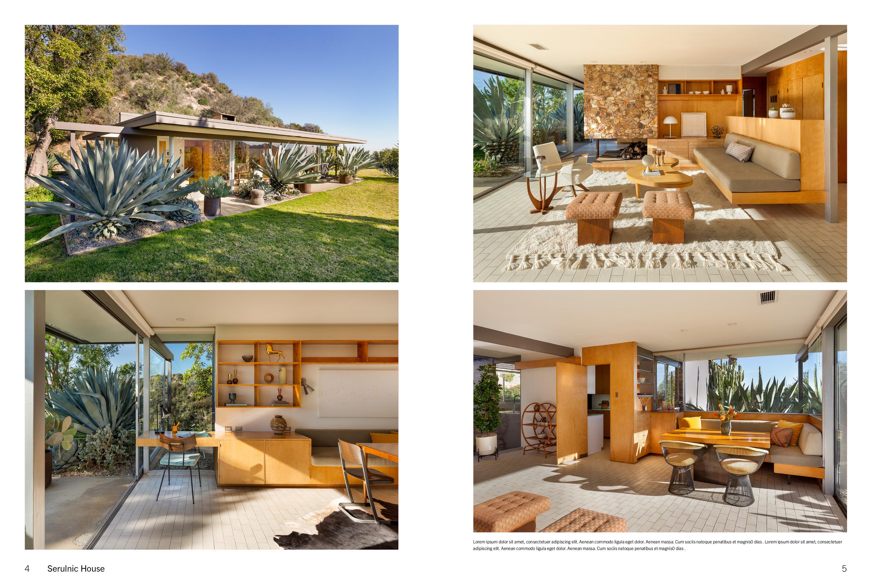 Beispielinhalt (Bild) American Icons Volume 2