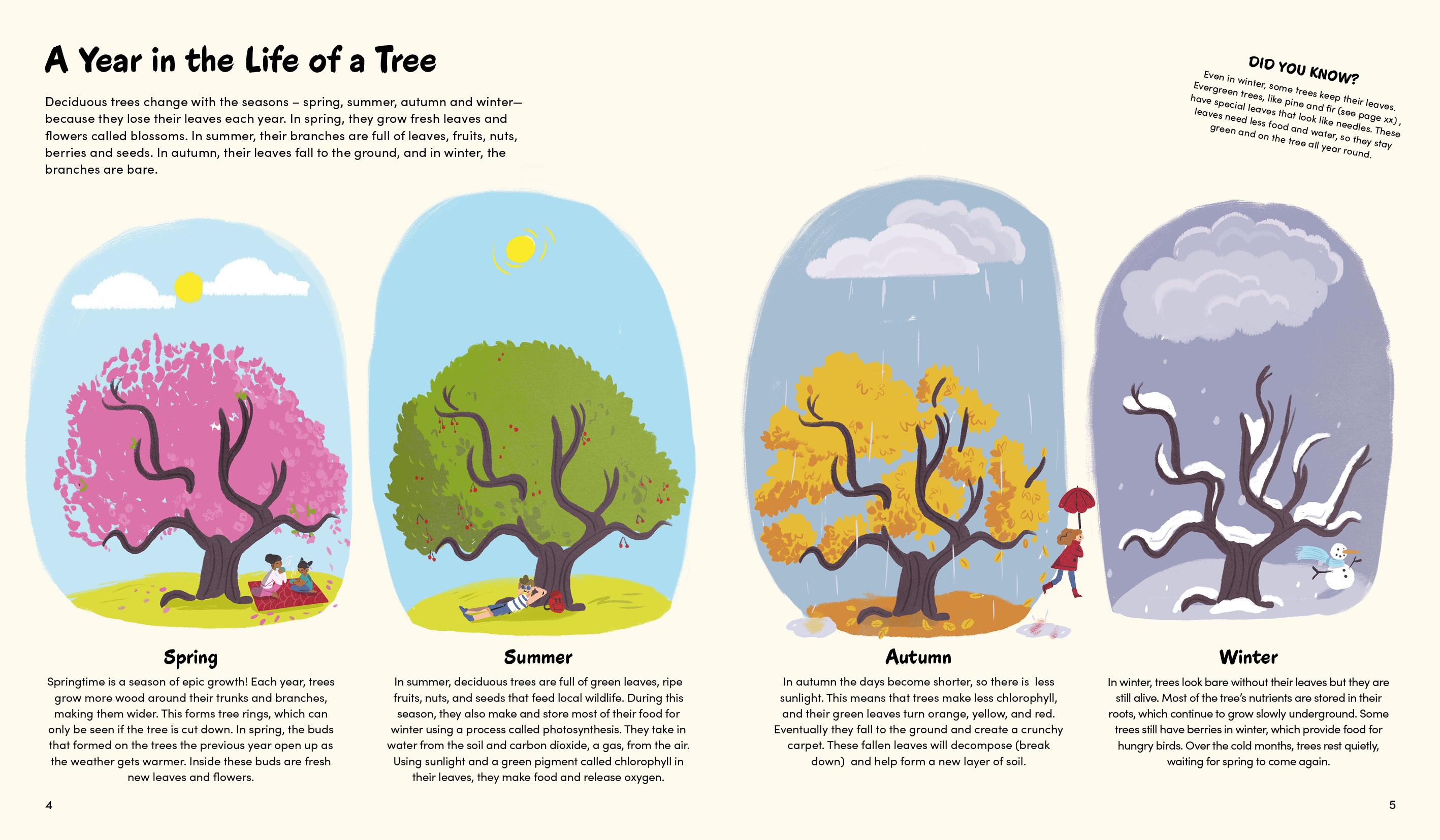 Beispielinhalt (Bild) The Little Book of Trees