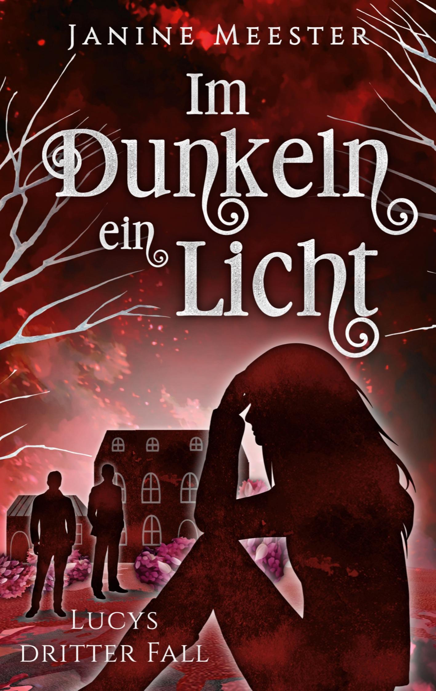 Vorderes Coverbild Im Dunkeln ein Licht