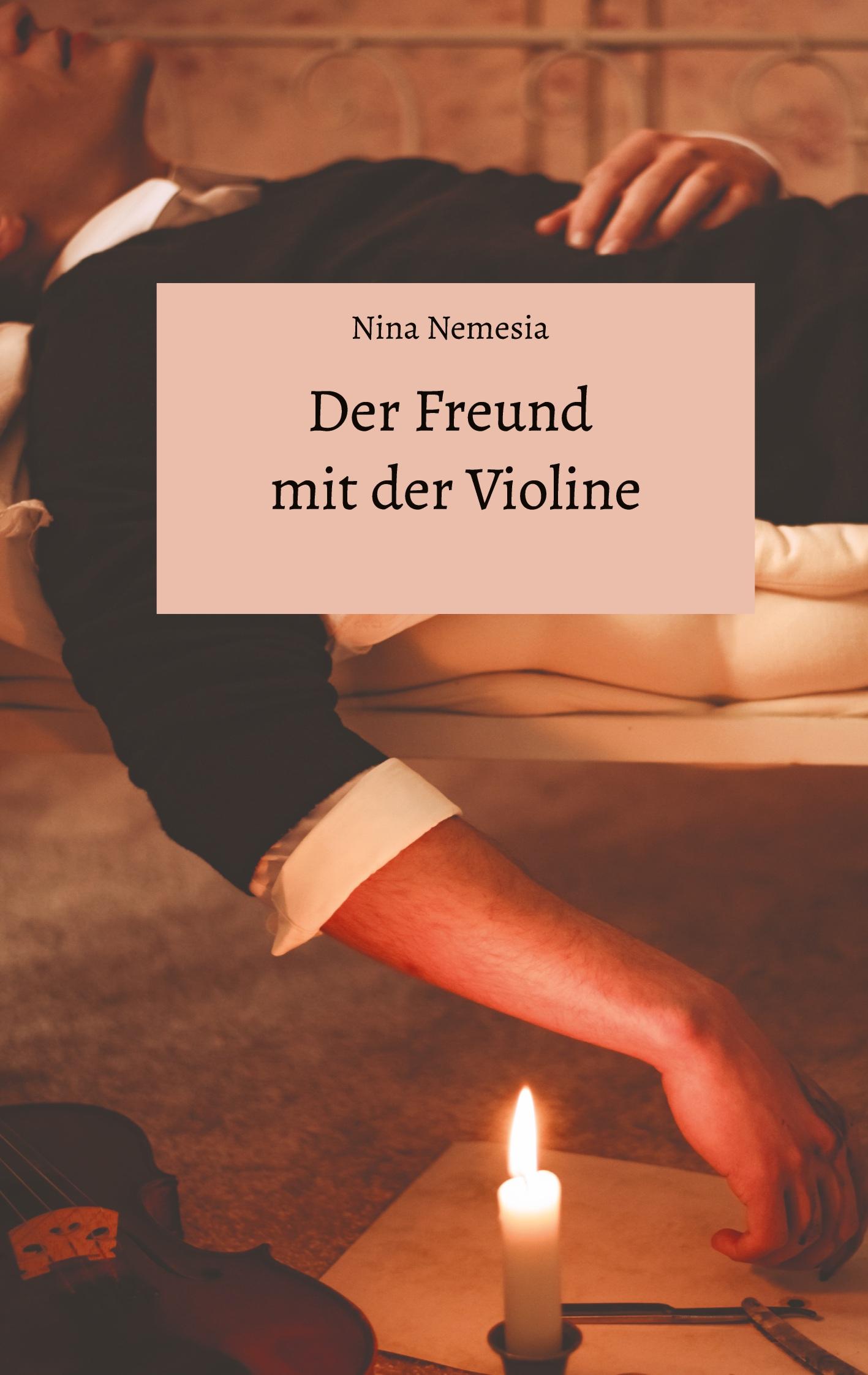 Vorderes Coverbild Der Freund mit der Violine