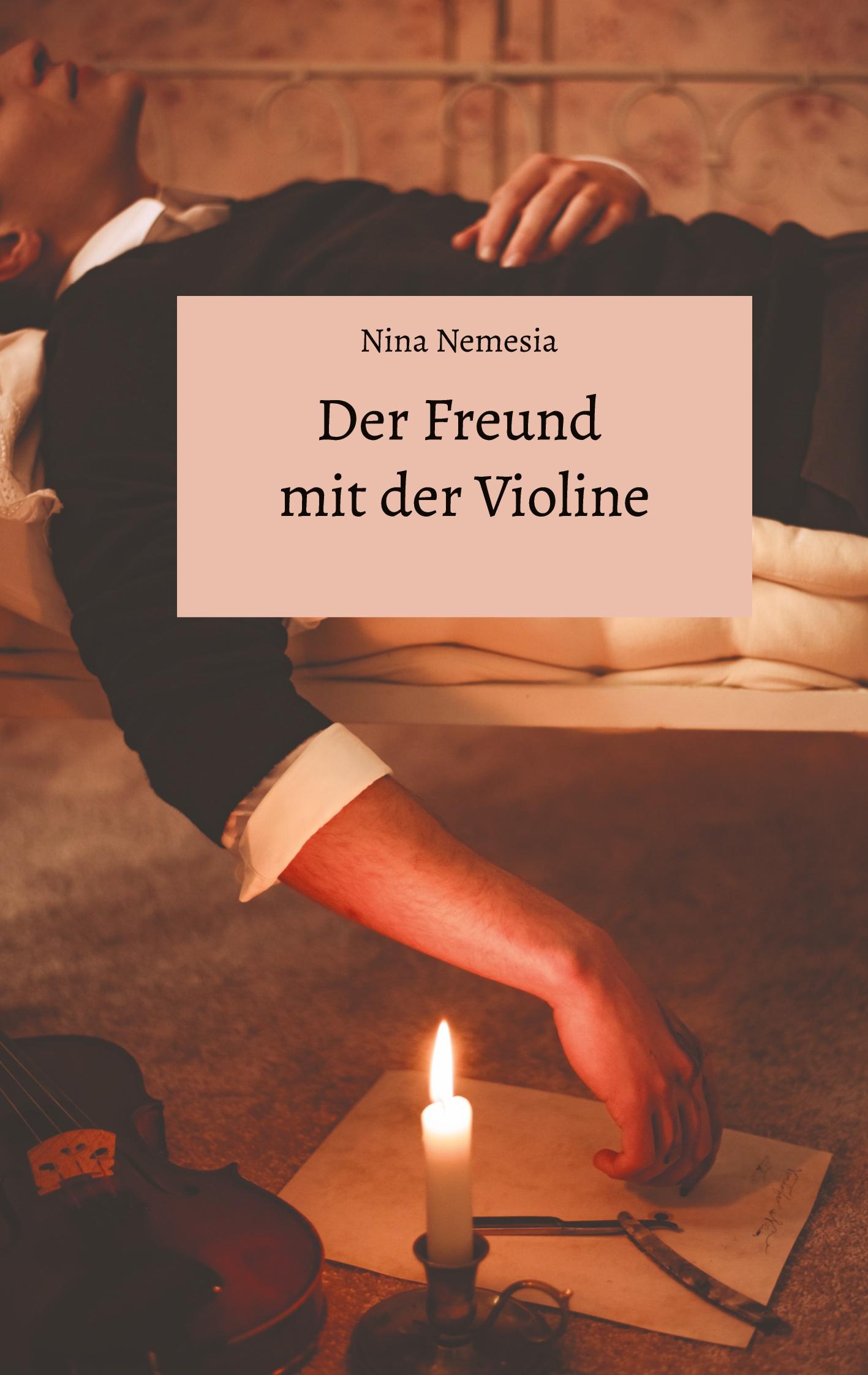 Vorderes Coverbild Der Freund mit der Violine
