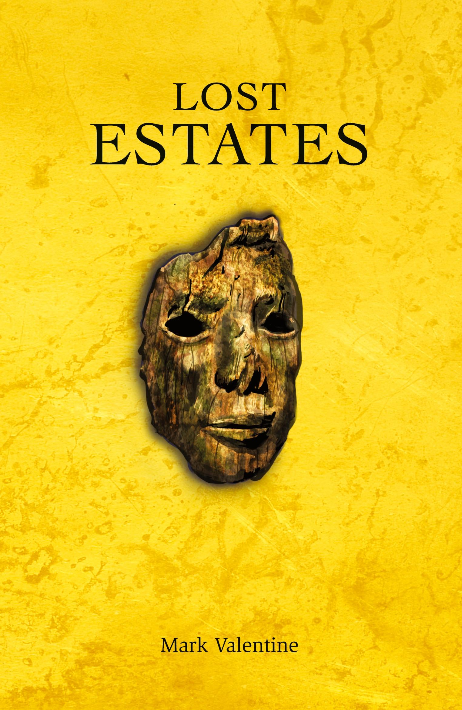 Vorderes Coverbild Lost Estates