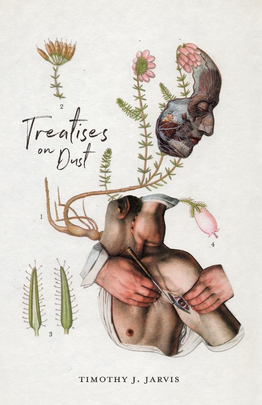 Vorderes Coverbild Treatises on Dust