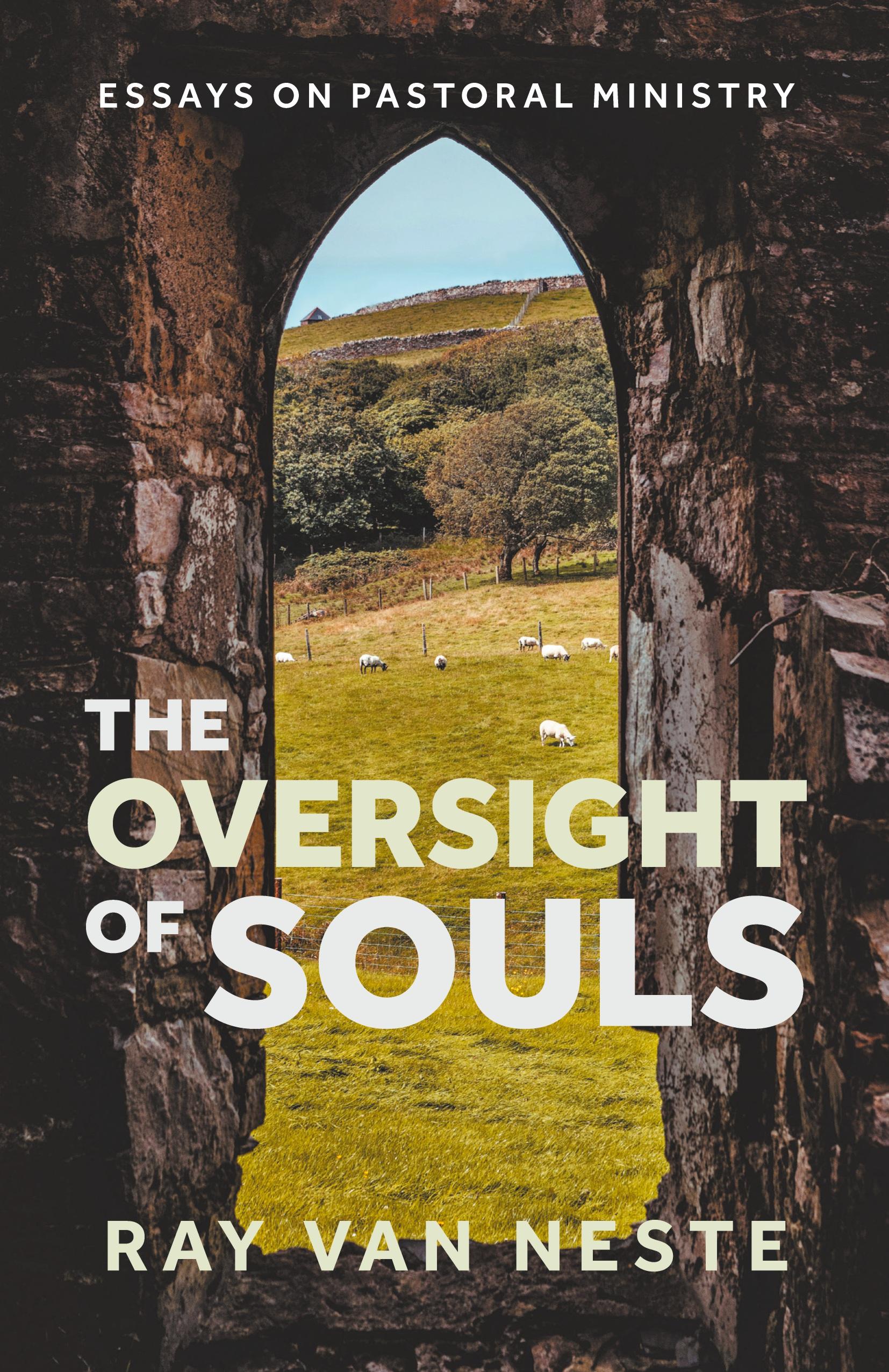 Vorderes Coverbild The oversight of souls