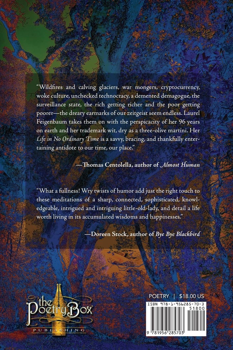 Rückseitencover Life in No Ordinary Time