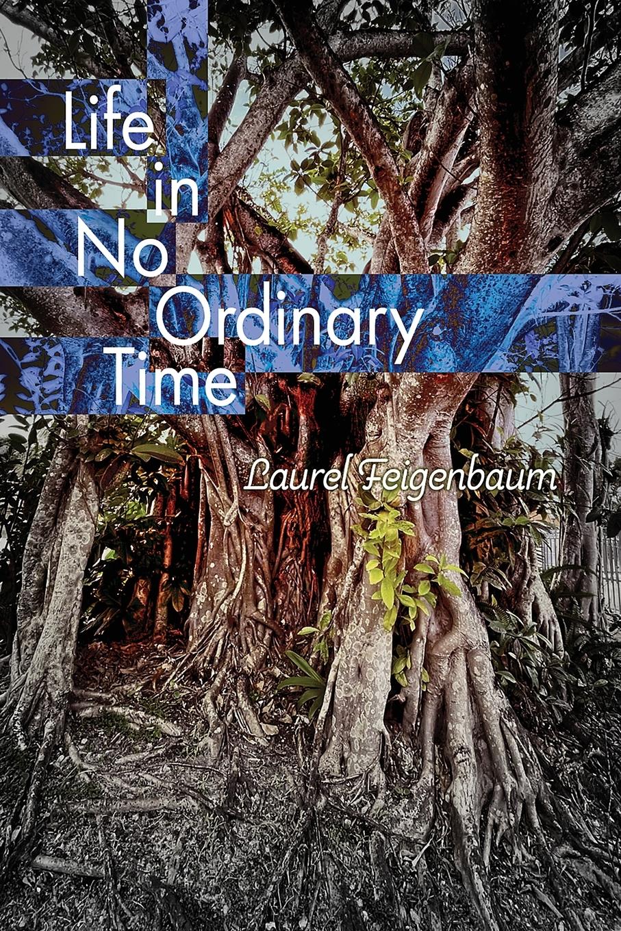 Vorderes Coverbild Life in No Ordinary Time