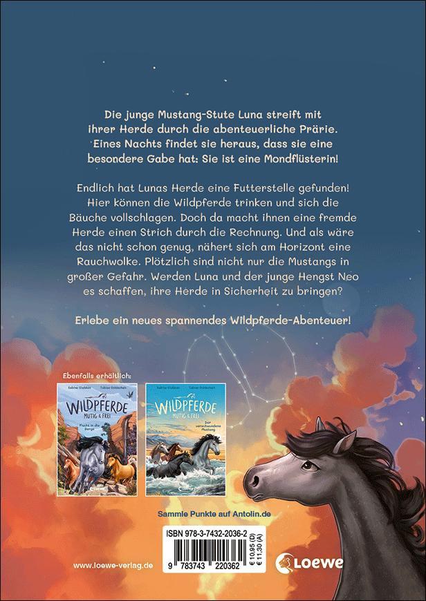 Rückseitencover Wildpferde - mutig und frei (Band 5) - Rauch über der Prärie
