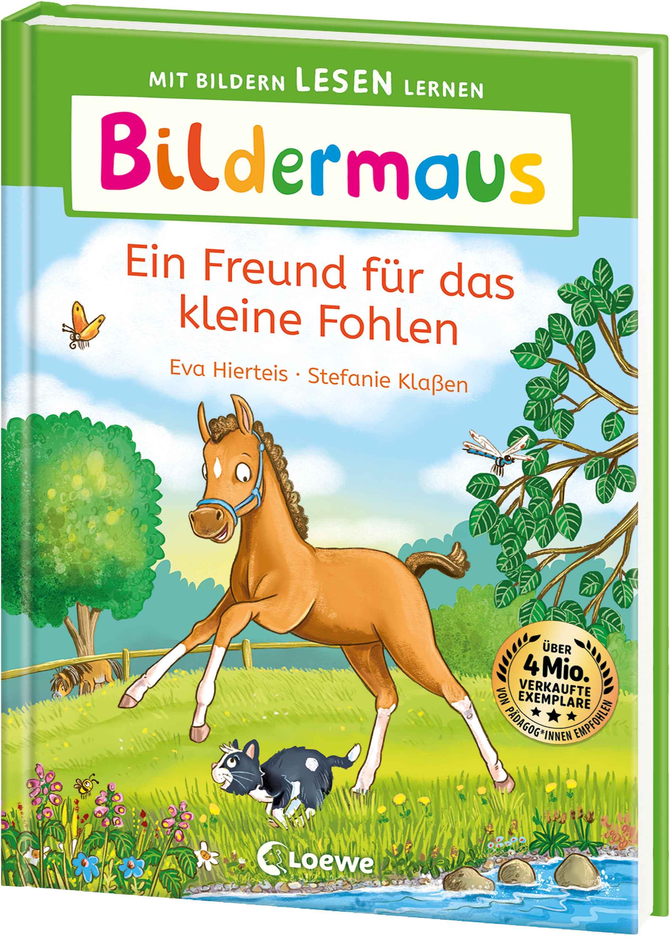 Vorderes Coverbild Bildermaus - Ein Freund für das kleine Fohlen