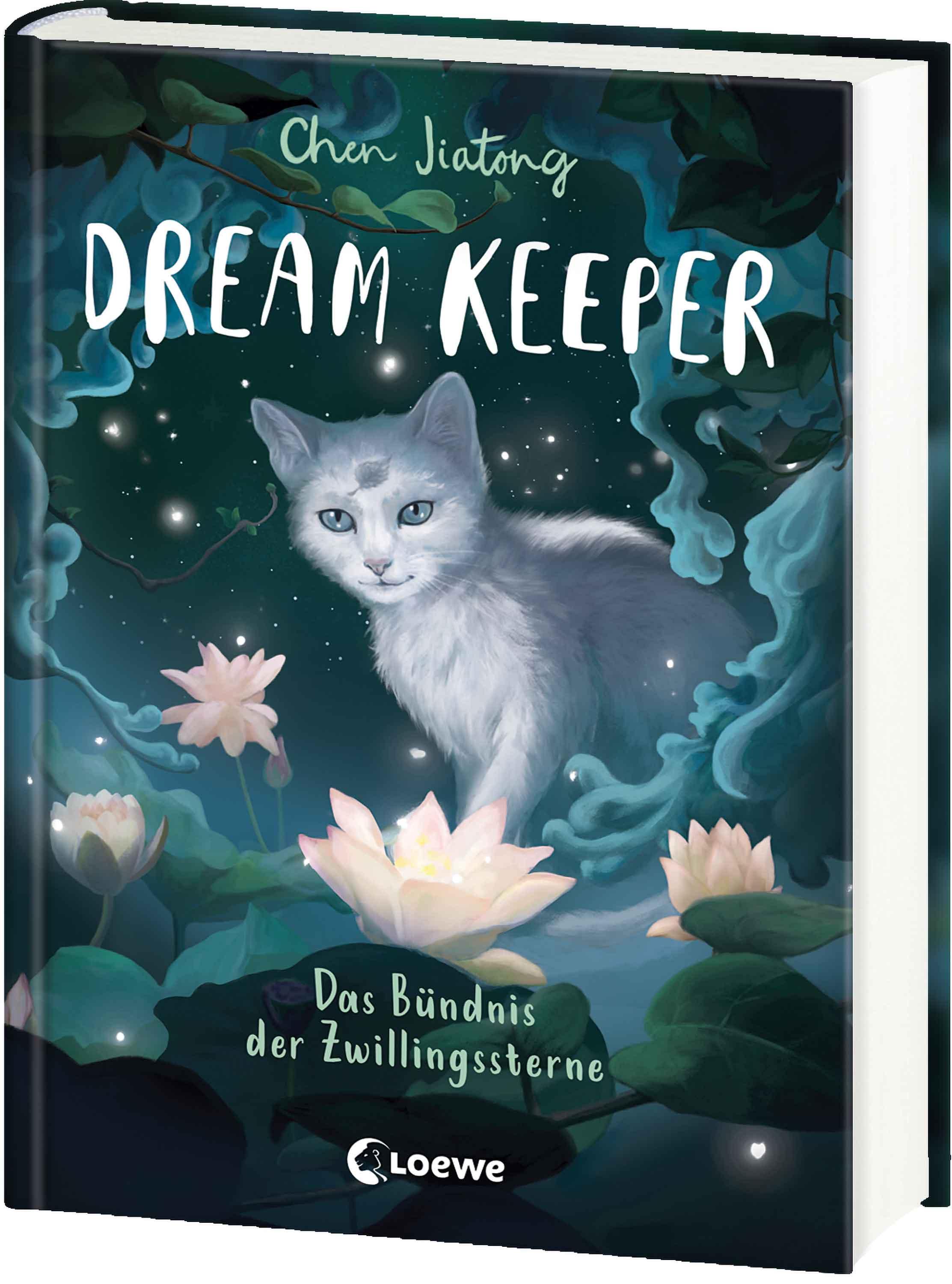 Vorderes Coverbild Dream Keeper (Band 2) - Das Bündnis der Zwillingssterne