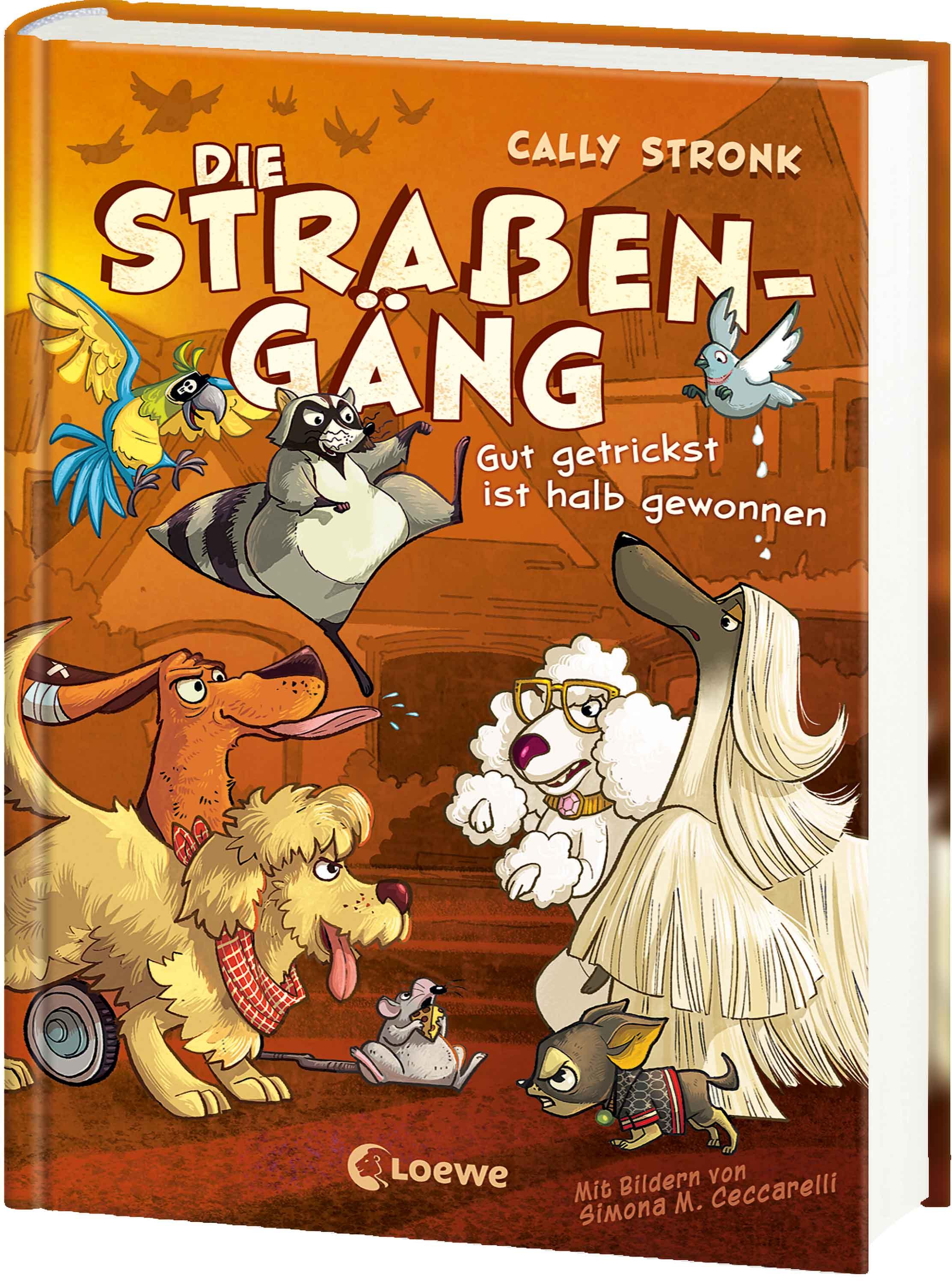 Vorderes Coverbild Die Straßengäng (Band 2) - Gut getrickst ist halb gewonnen