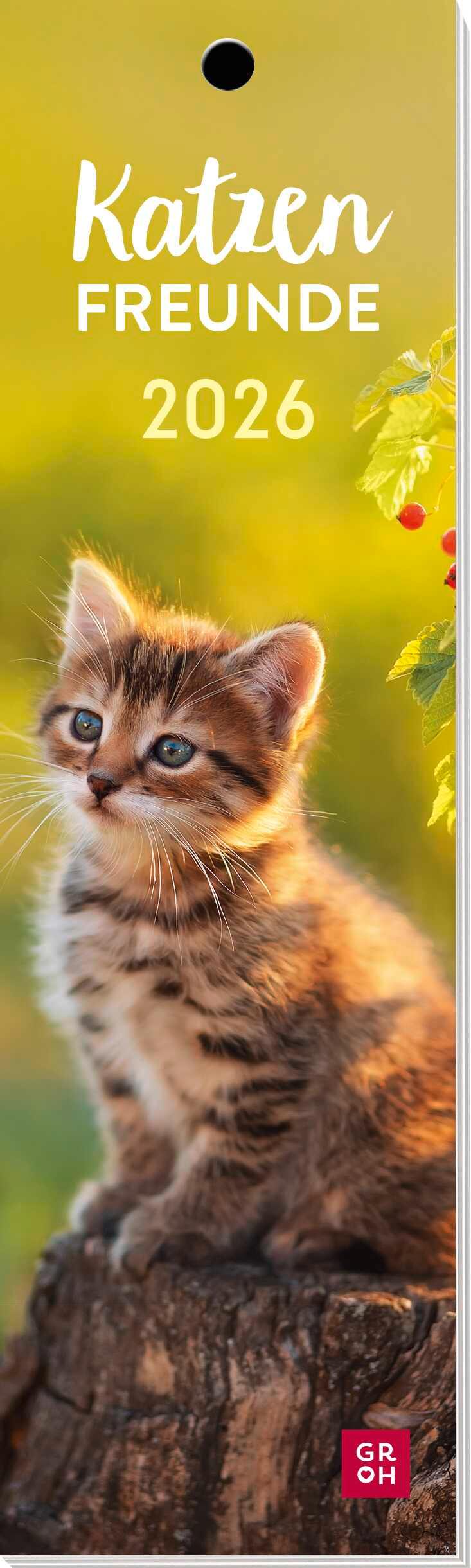 Vorderes Coverbild Lesezeichenkalender 2026: Katzenfreunde