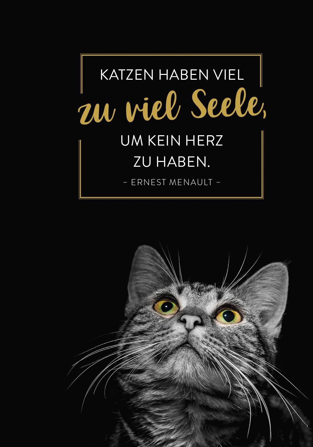 Beispielinhalt (Bild) Buchkalender 2026: Für Katzenfreunde