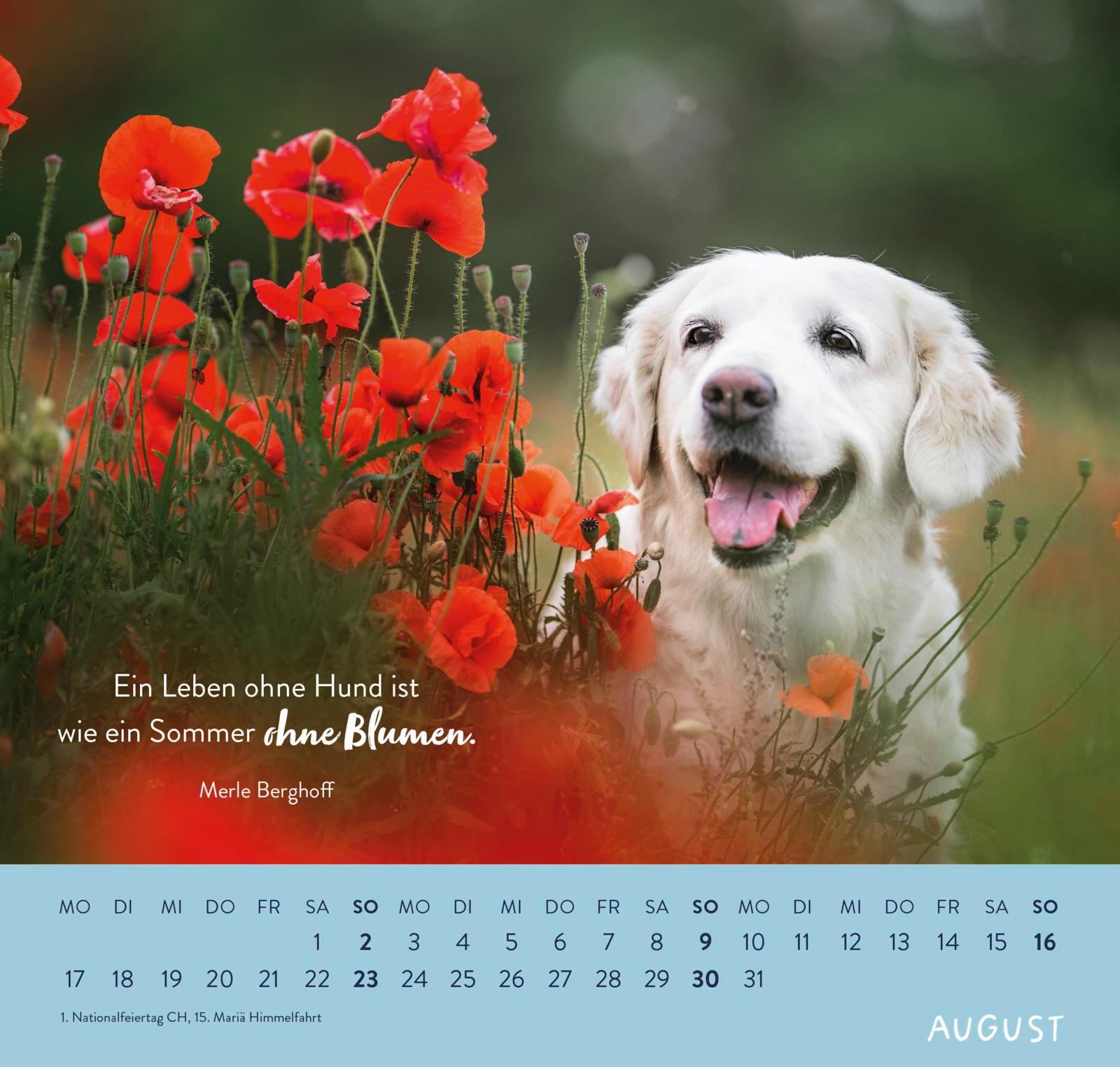 Beispielinhalt (Bild) Wandkalender 2026: Für Hundefreunde