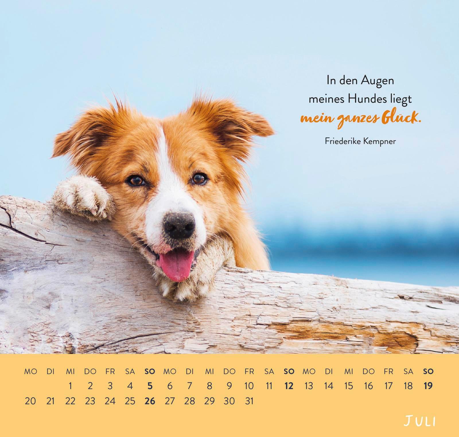 Beispielinhalt (Bild) Wandkalender 2026: Für Hundefreunde