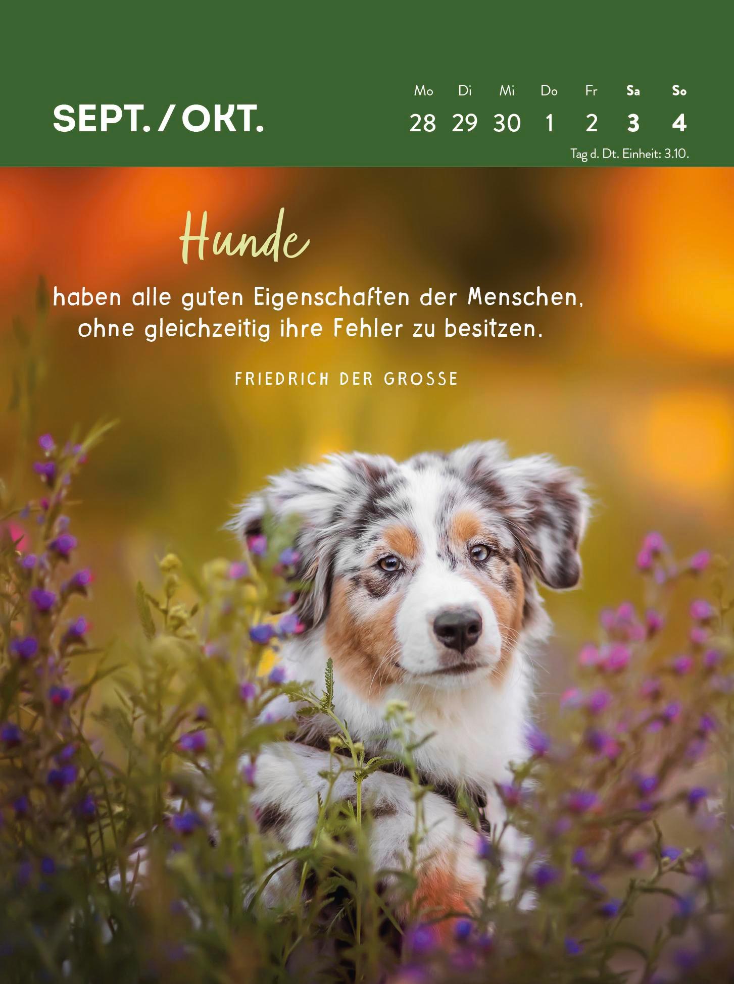 Beispielinhalt (Bild) Wochenkalender 2026: Hunde sind die besten Freunde