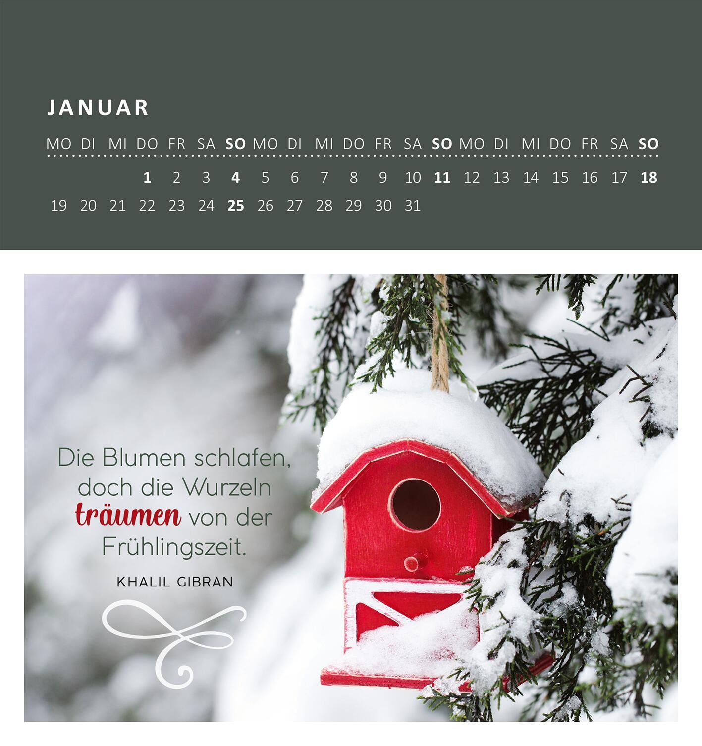 Beispielinhalt (Bild) Wandkalender Gartenglück 2026