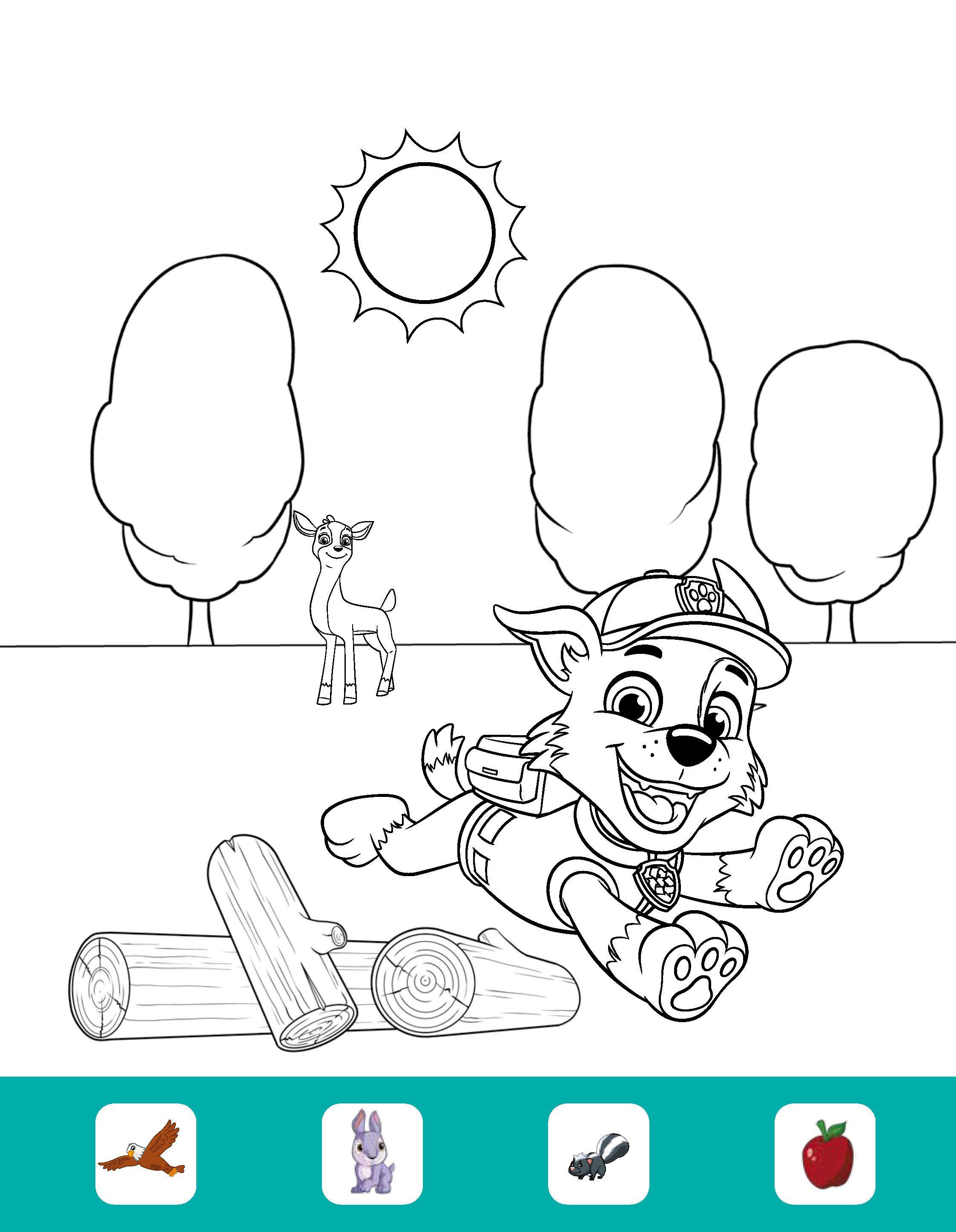 Beispielinhalt (Bild) PAW Patrol Malbuch mit Zauberseiten