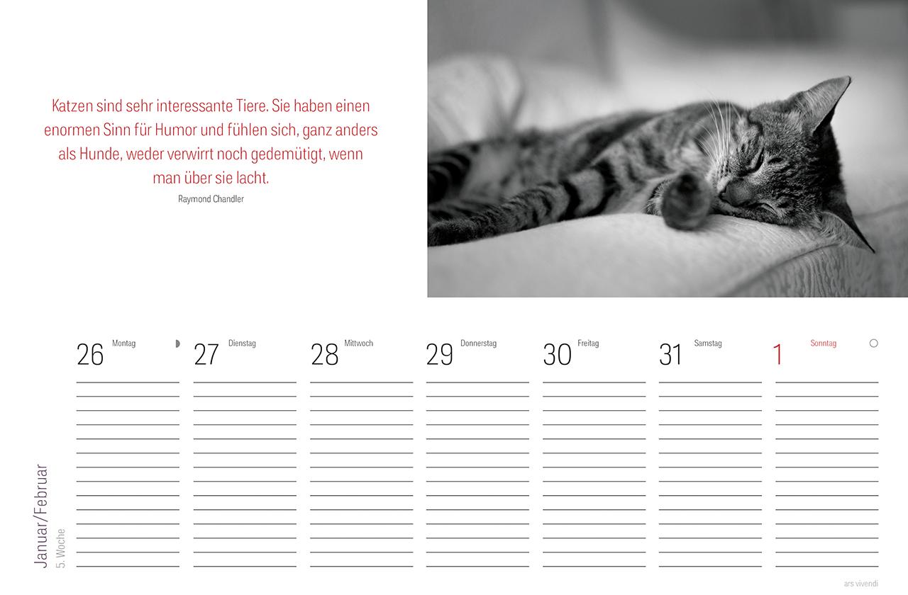 Beispielinhalt (Bild) Tischkalender Katzen 2026