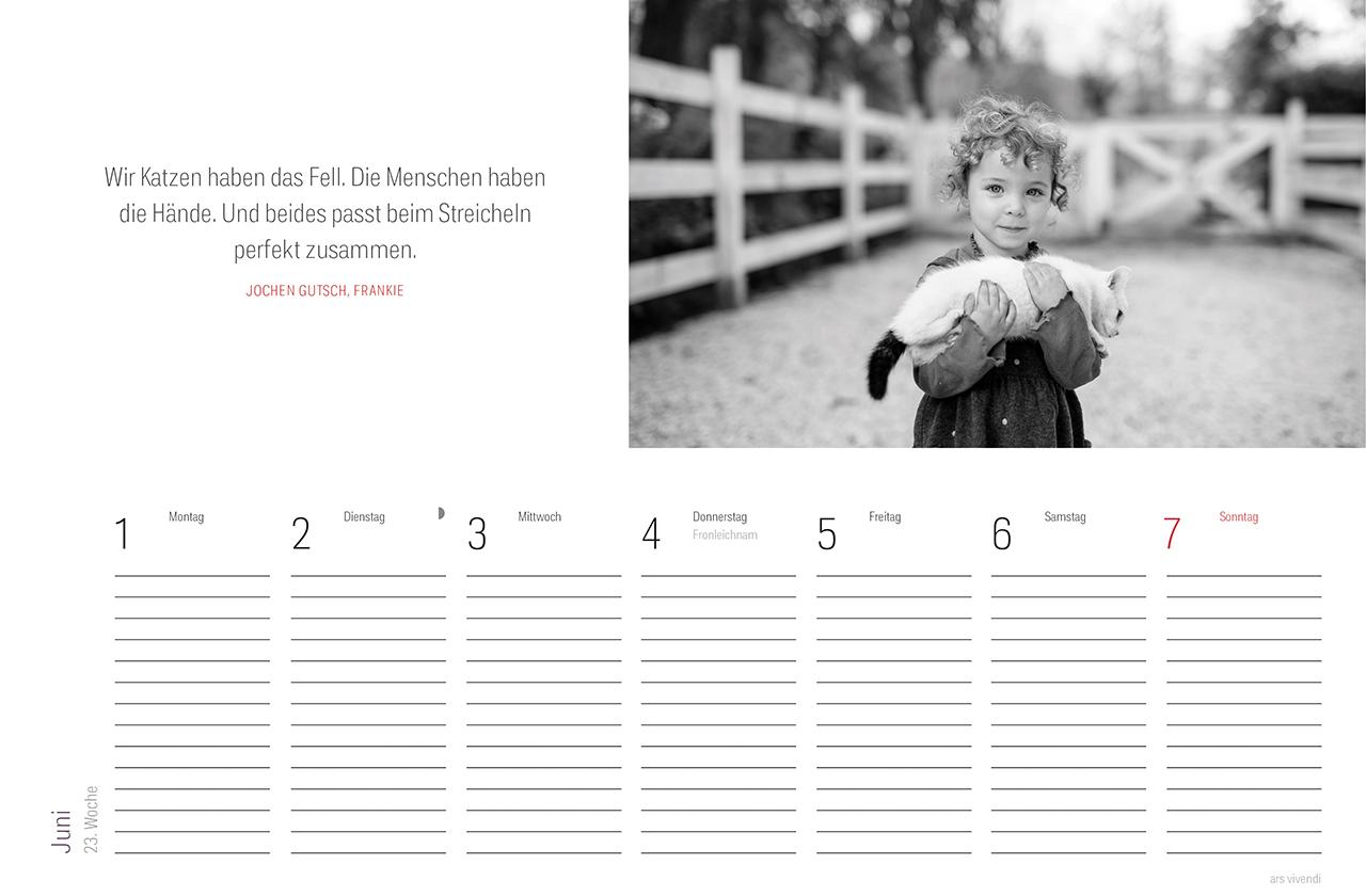 Beispielinhalt (Bild) Tischkalender Katzen 2026