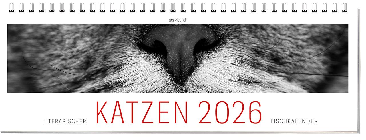 Vorderes Coverbild Tischkalender Katzen 2026