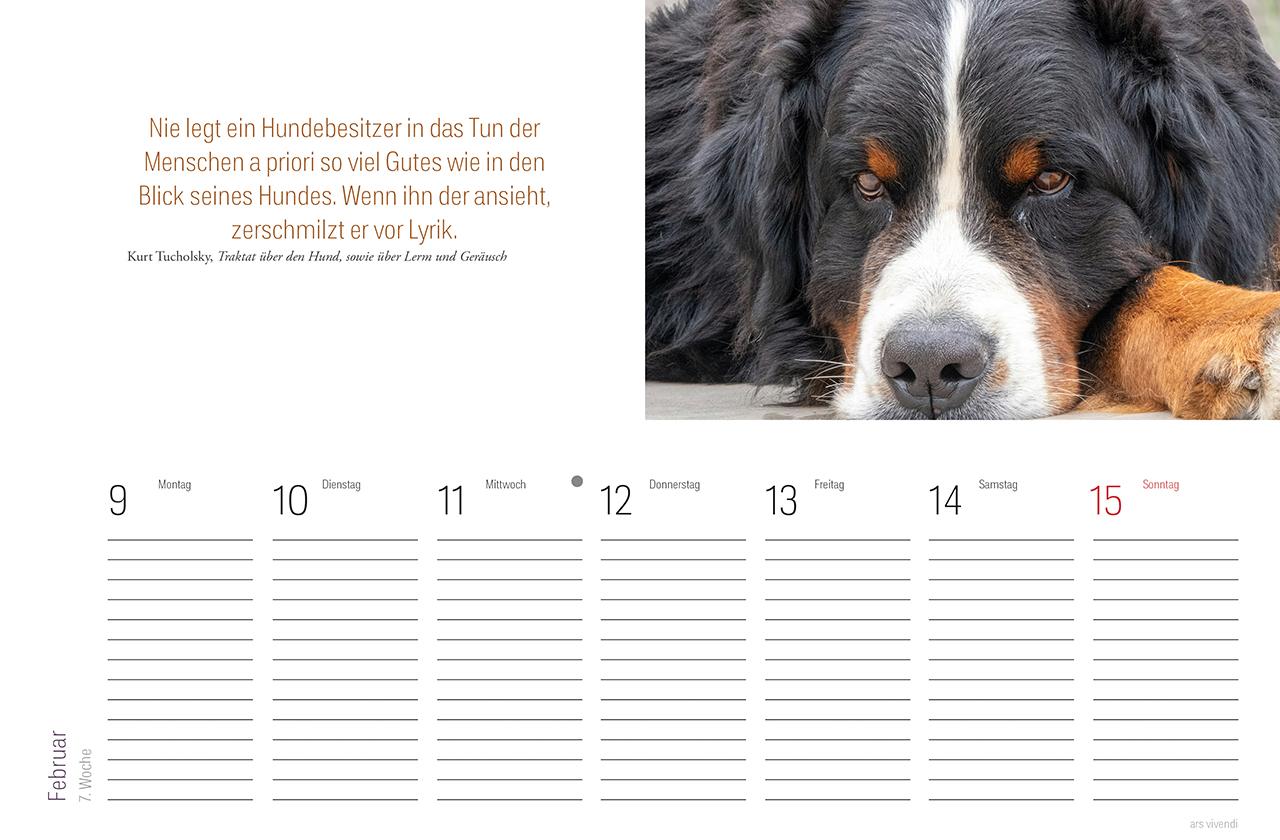 Beispielinhalt (Bild) Tischkalender Hunde 2026