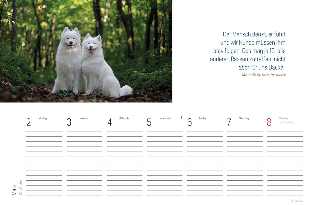 Beispielinhalt (Bild) Tischkalender Hunde 2026