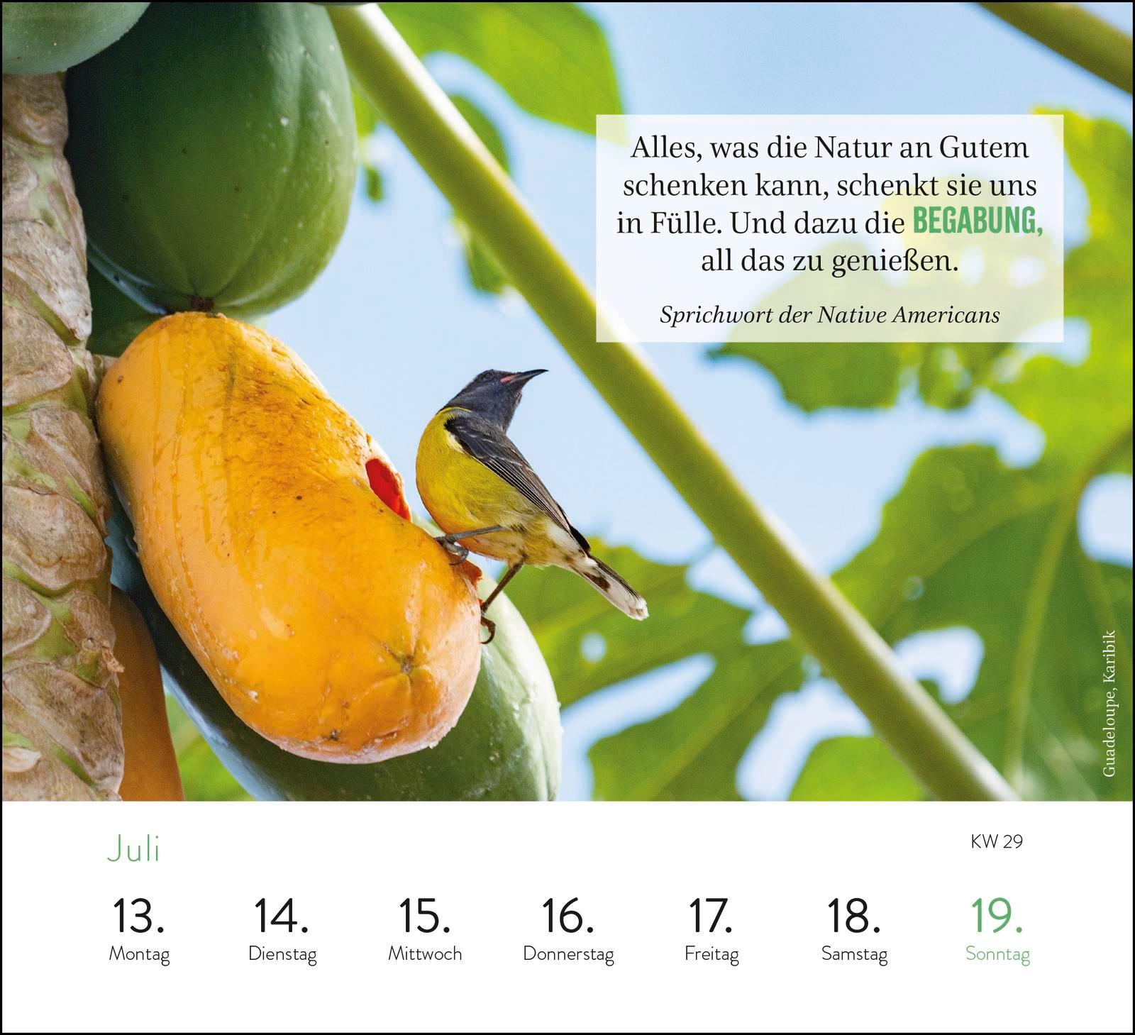 Beispielinhalt (Bild) Wochenkalender 2026: Sehnsuchtsorte