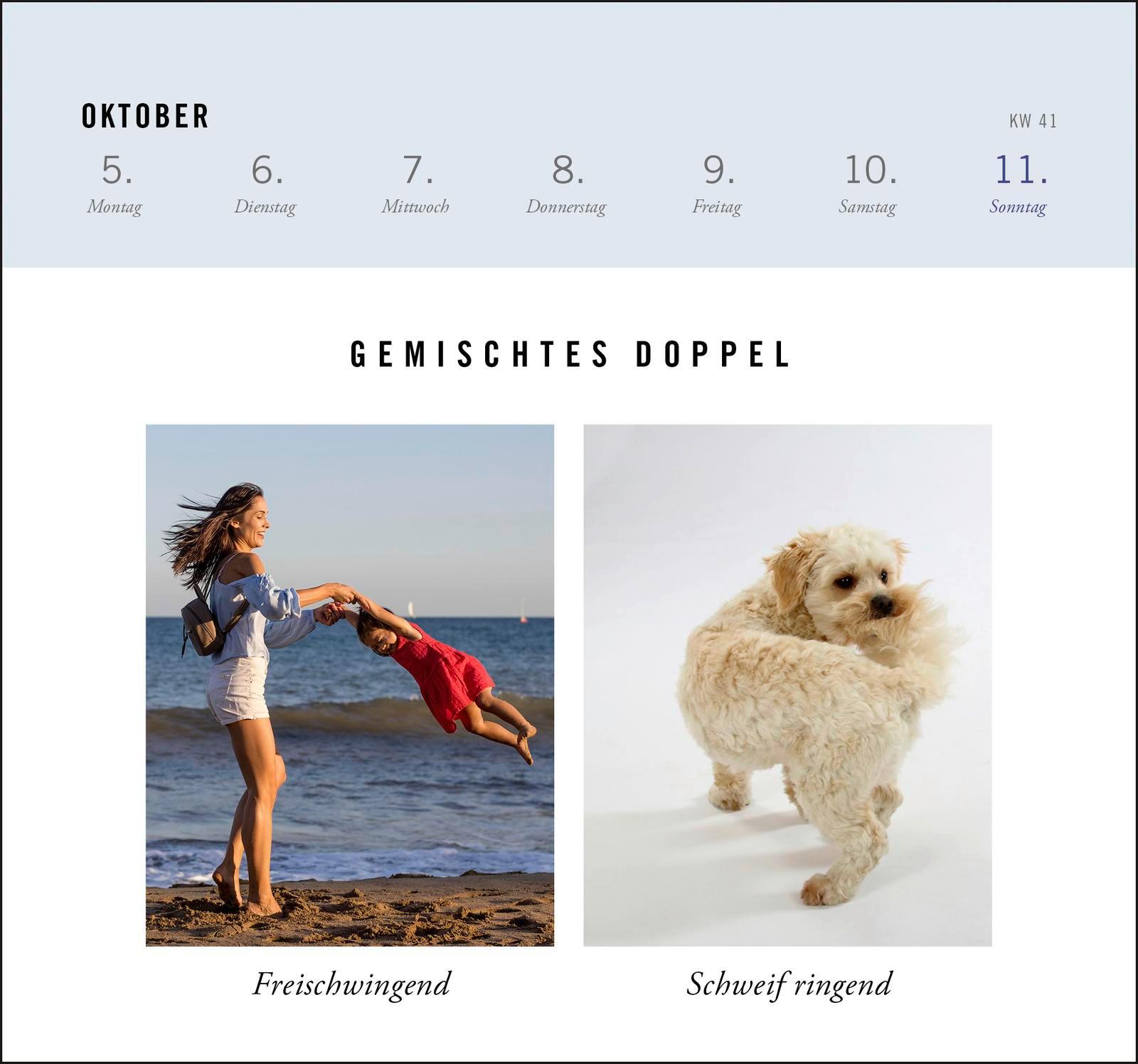 Beispielinhalt (Bild) Postkartenkalender 2026: Gemischtes Doppel