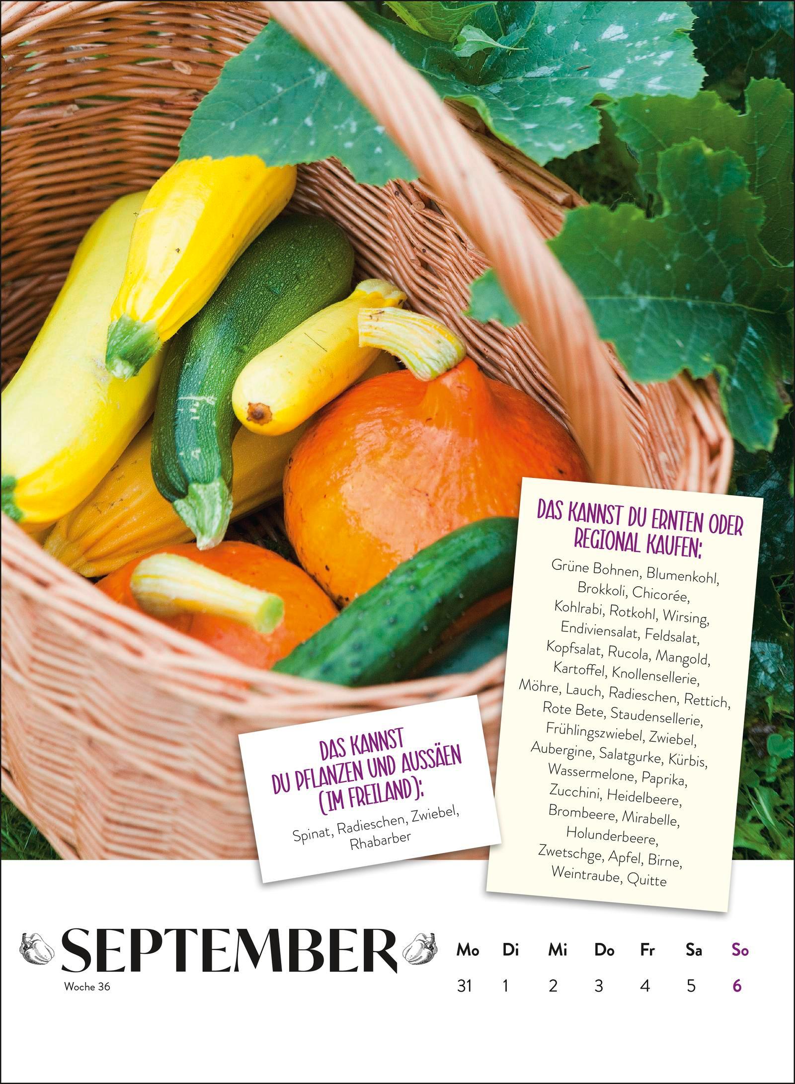 Beispielinhalt (Bild) Wochenkalender 2026: Obst und Gemüse haben immer Saison