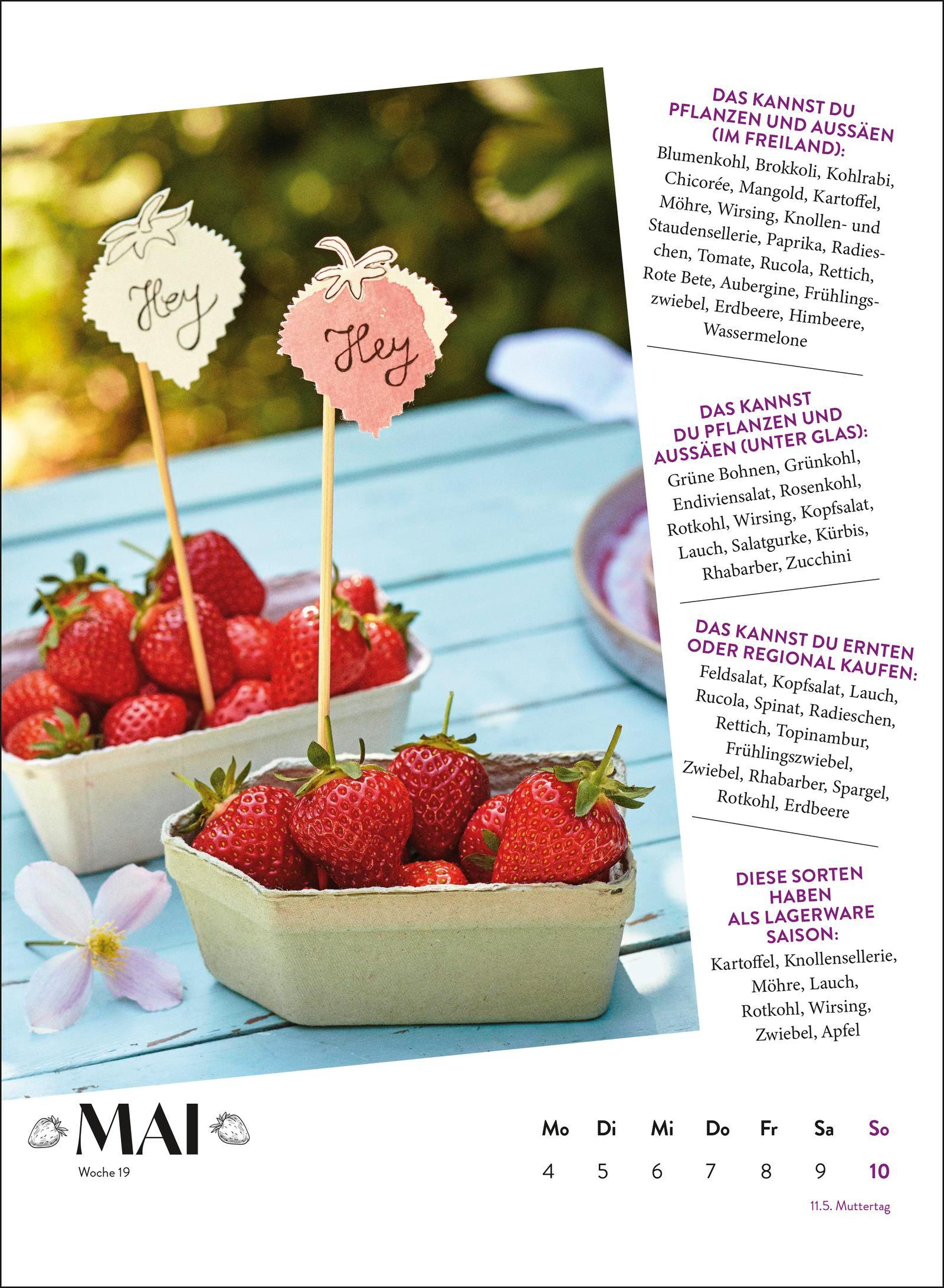 Beispielinhalt (Bild) Wochenkalender 2026: Obst und Gemüse haben immer Saison