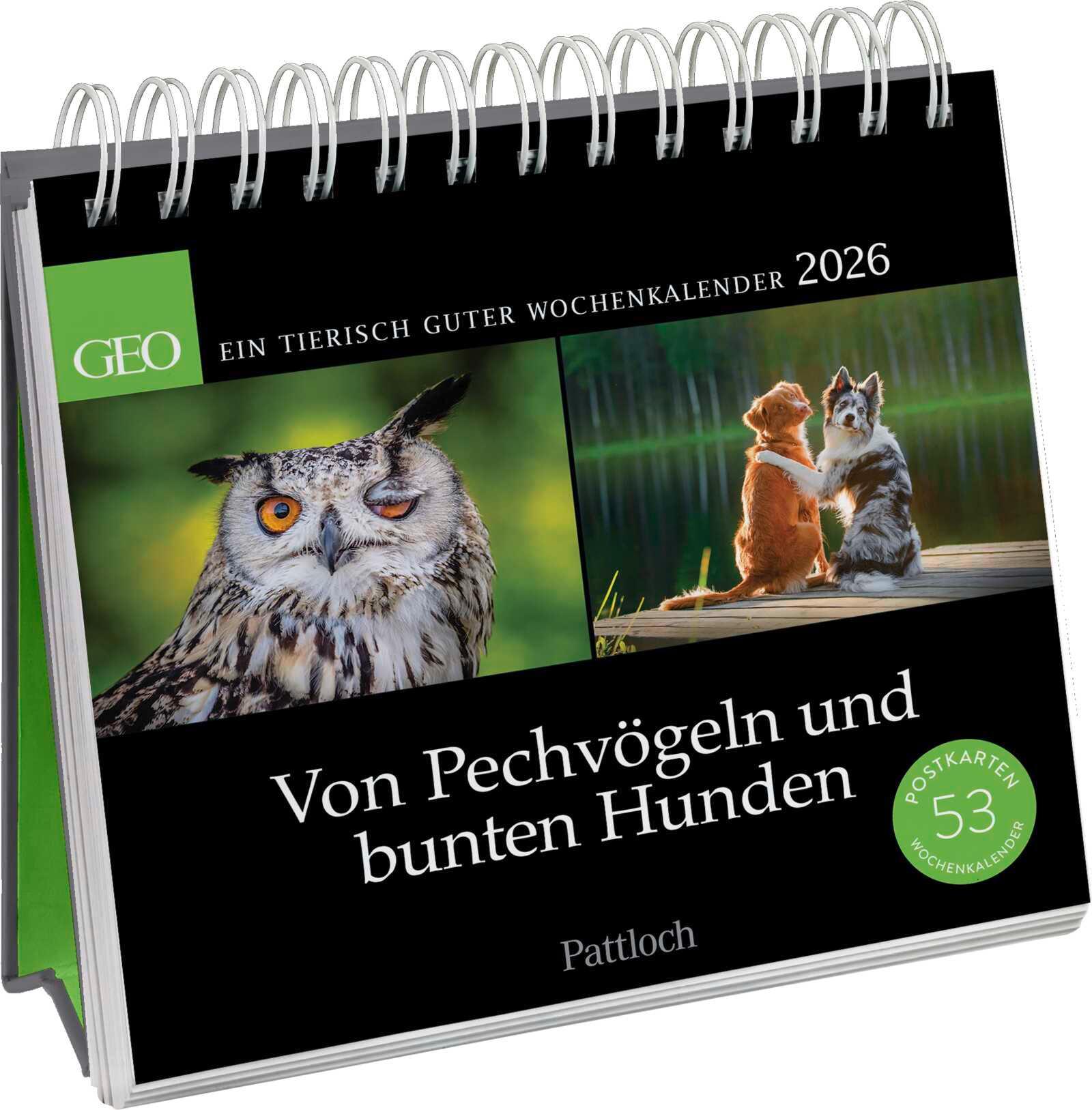 Vorderes Coverbild Postkartenkalender 2026: Von Pechvögeln und bunten Hunden