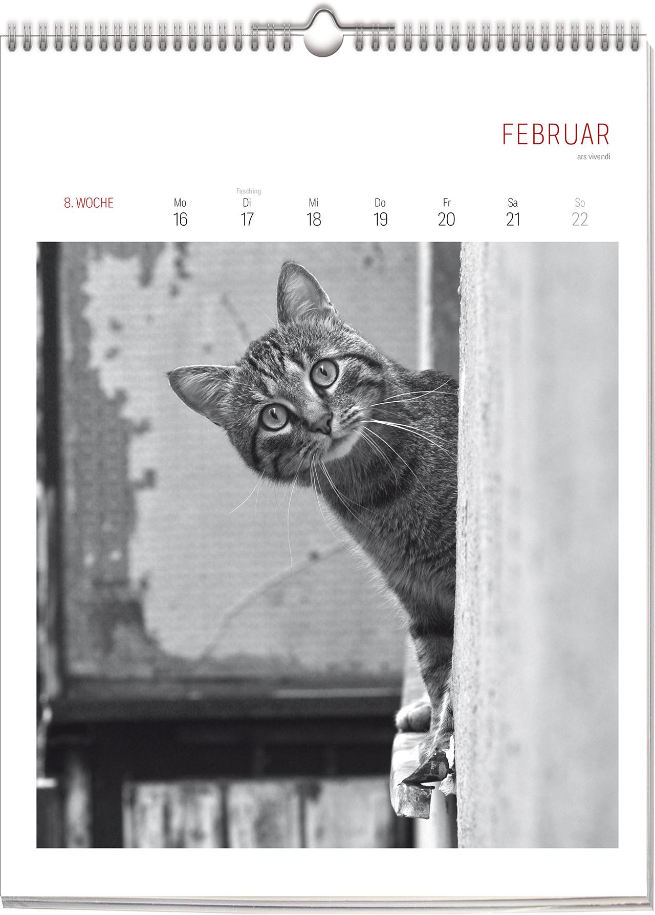 Beispielinhalt (Bild) Katzen - Literarisch durchs Jahr 2026