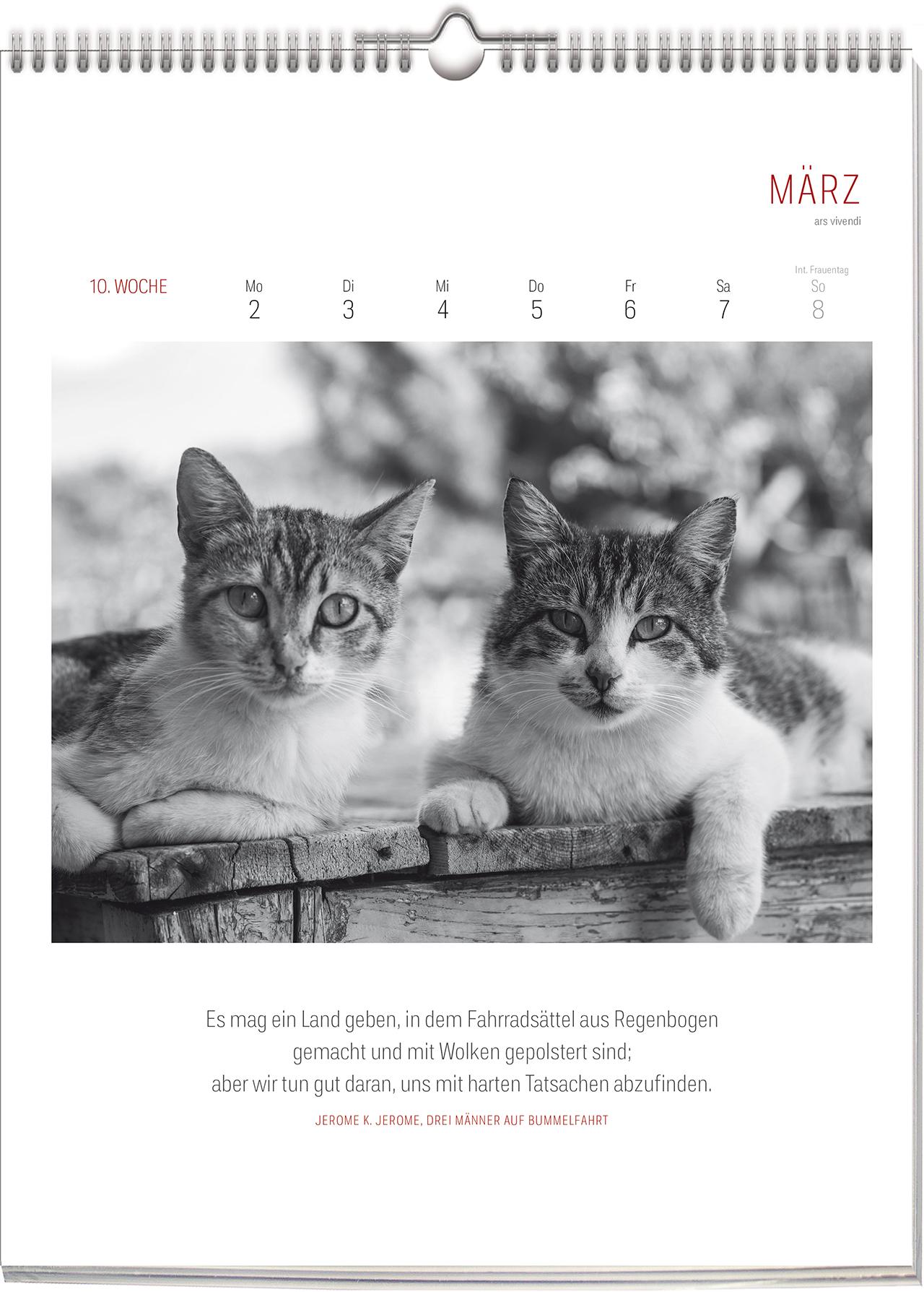 Beispielinhalt (Bild) Katzen - Literarisch durchs Jahr 2026