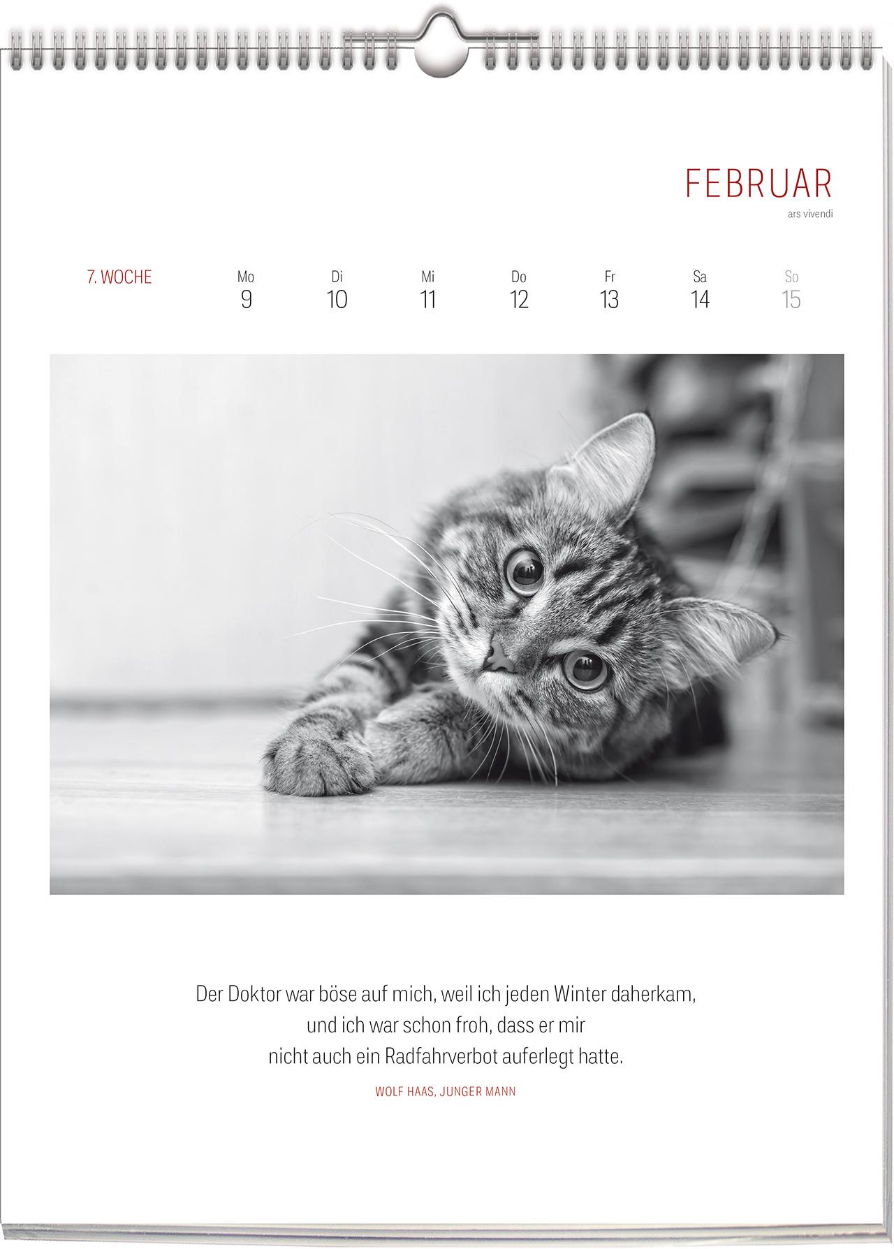 Beispielinhalt (Bild) Katzen - Literarisch durchs Jahr 2026