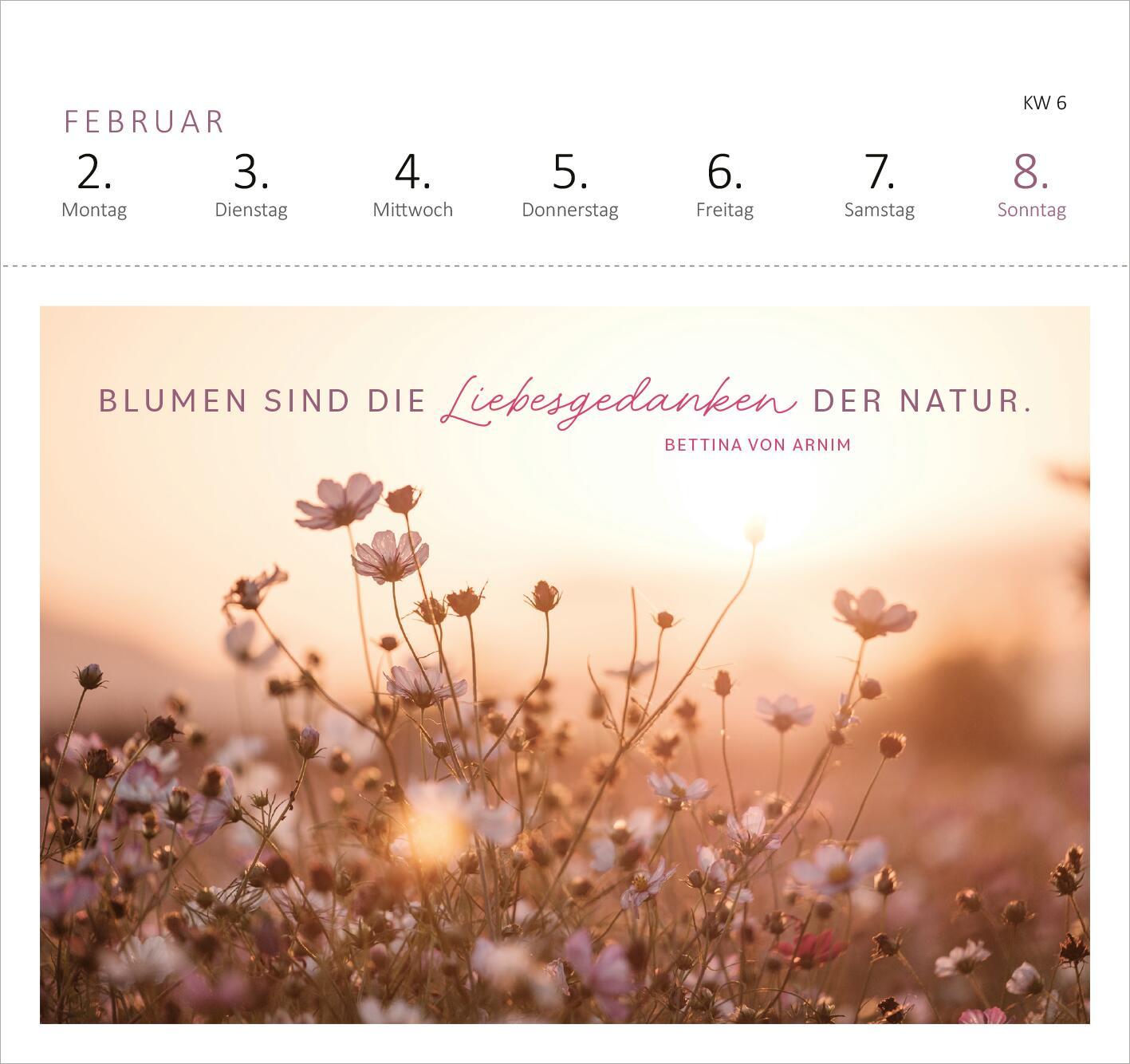 Beispielinhalt (Bild) Postkartenkalender 365 Tage Sonne im Herzen 2026