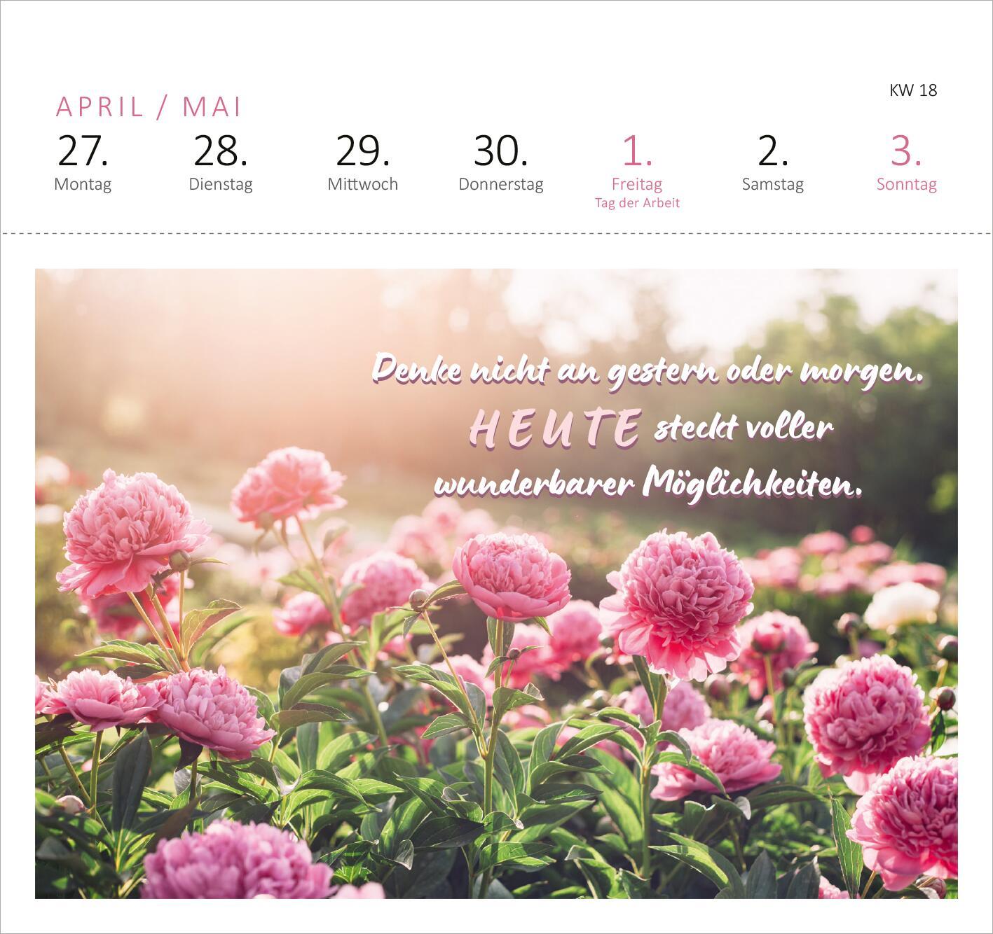 Beispielinhalt (Bild) Postkartenkalender 365 Tage Sonne im Herzen 2026