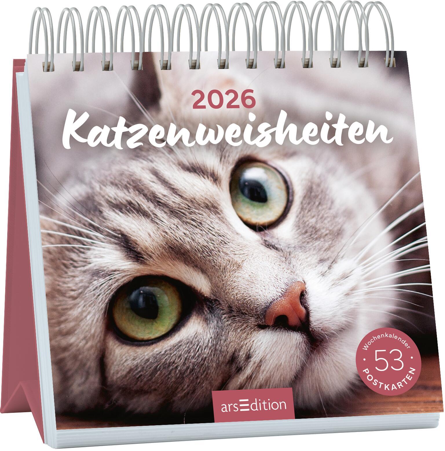 Vorderes Coverbild Postkartenkalender Katzenweisheiten 2026