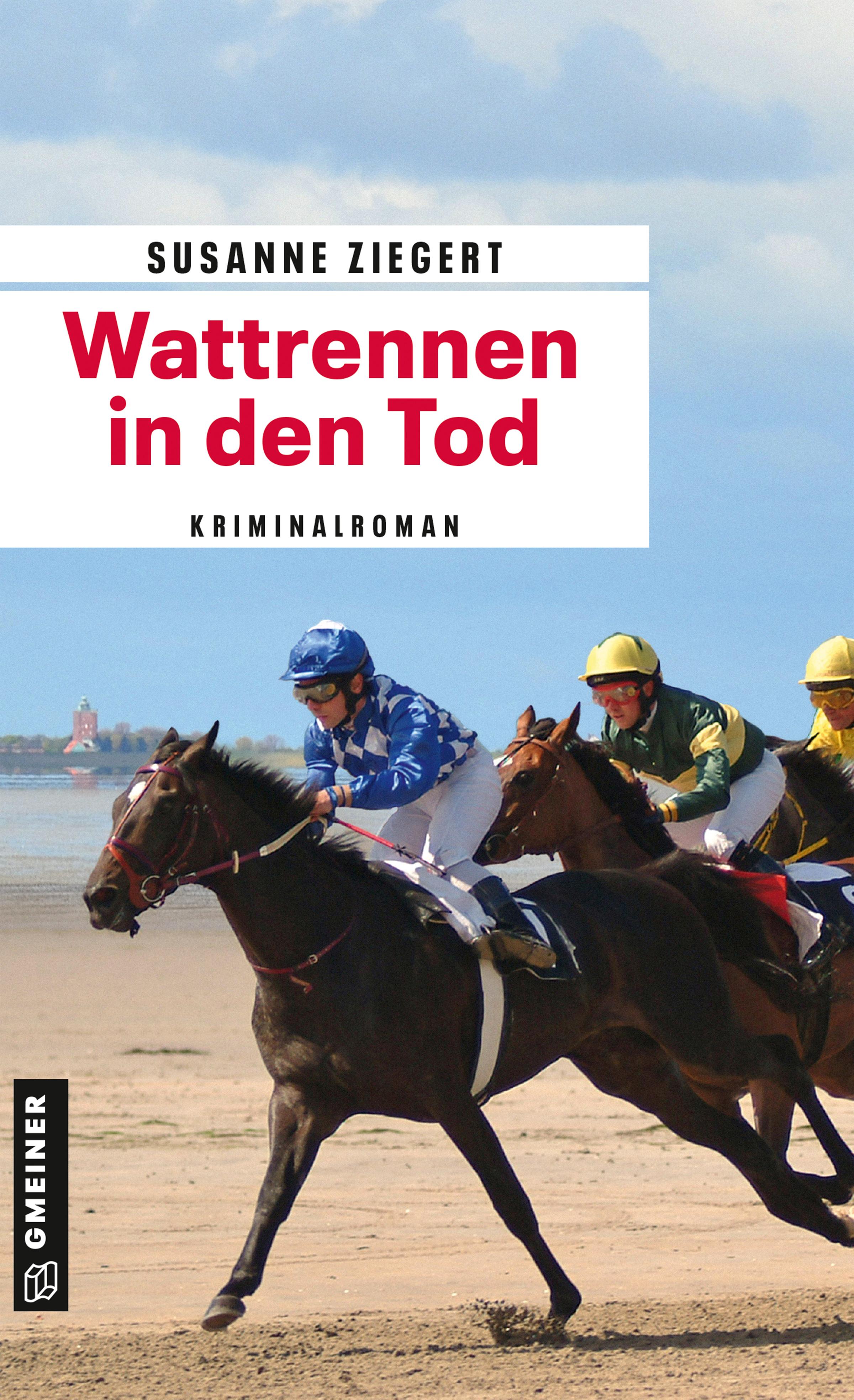 Vorderes Coverbild Wattrennen in den Tod