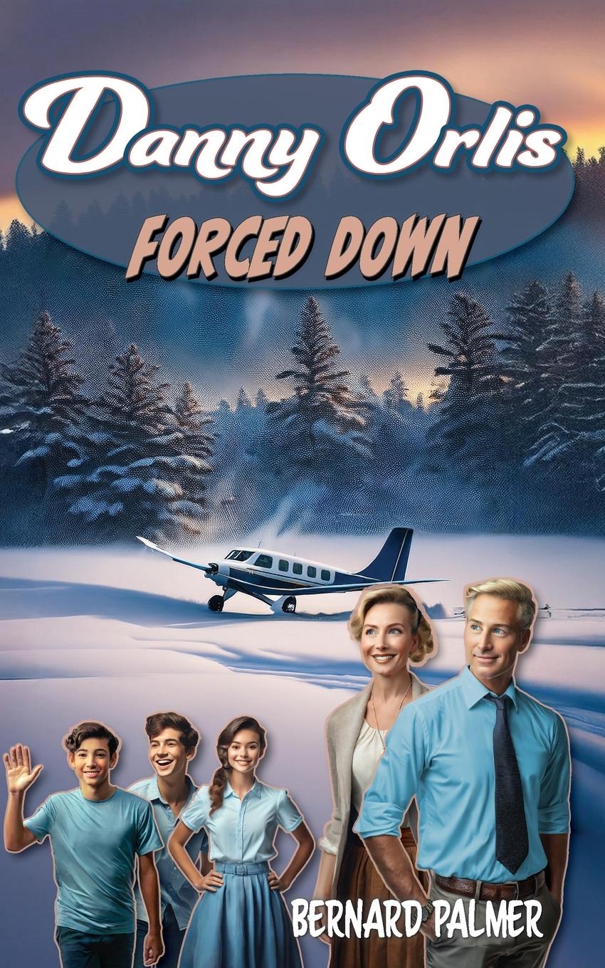 Vorderes Coverbild Danny Orlis Forced Down