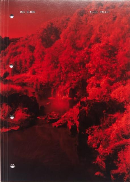 Vorderes Coverbild Red Bloom