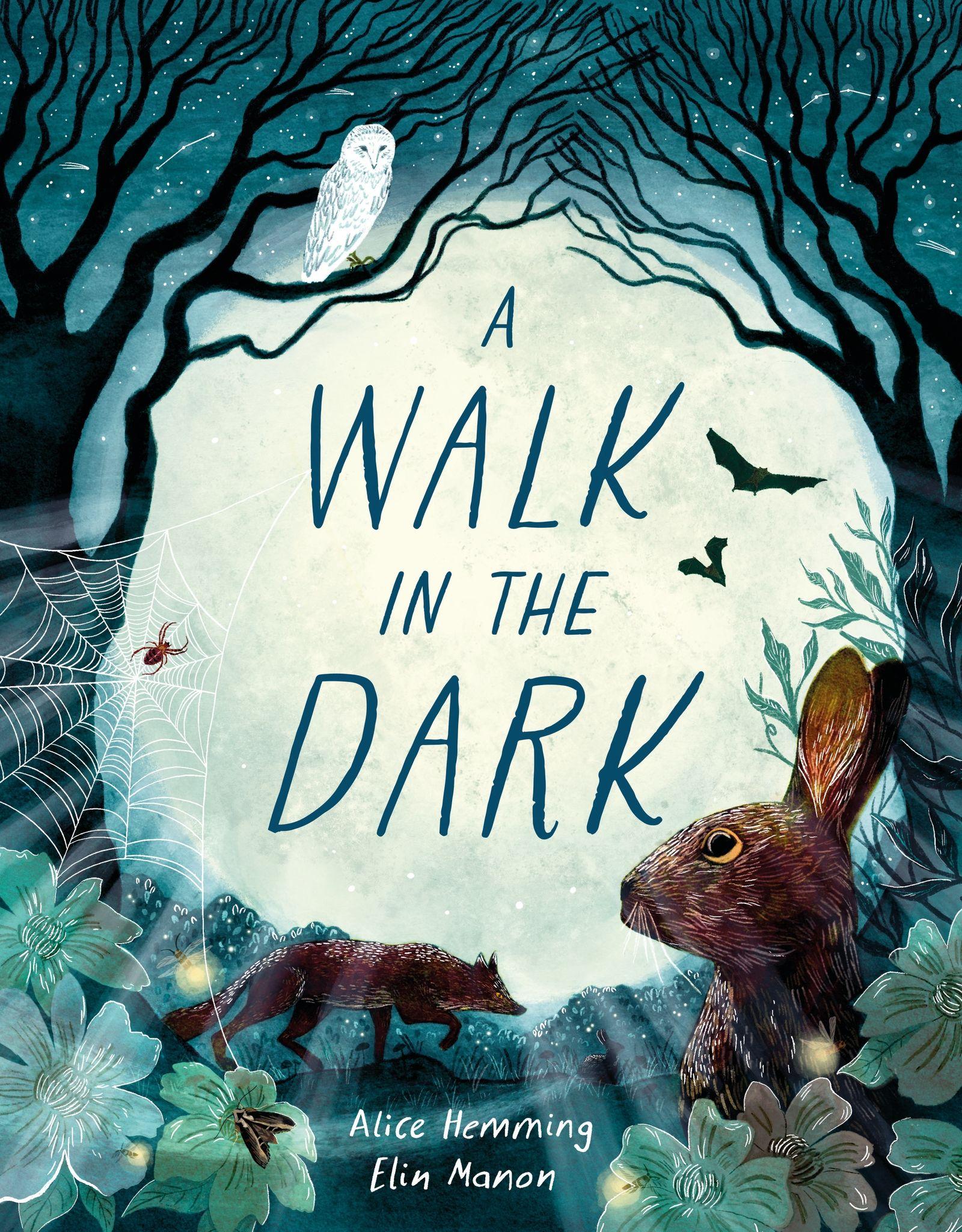 Vorderes Coverbild A Walk in the Dark
