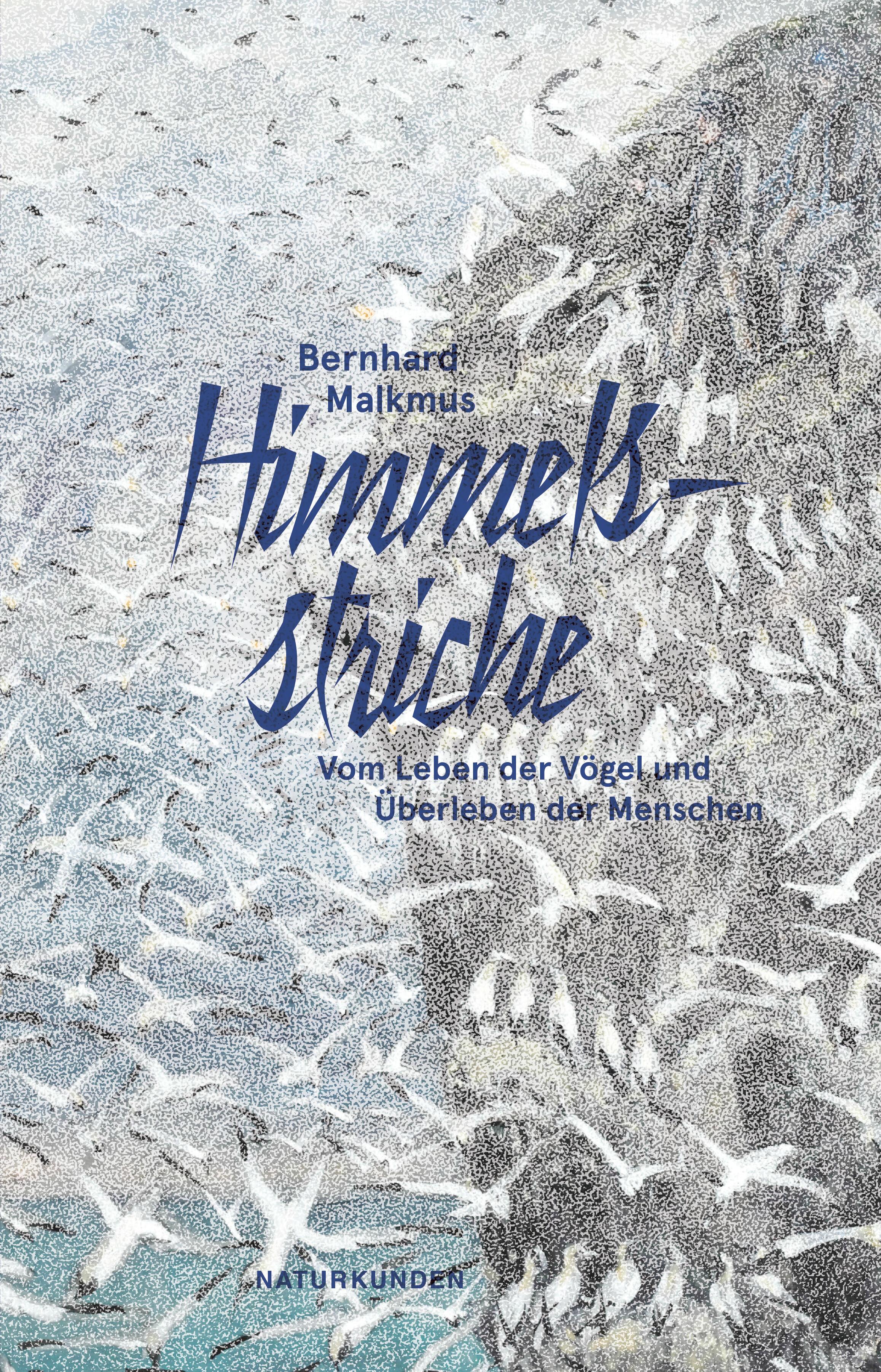 Vorderes Coverbild Himmelsstriche