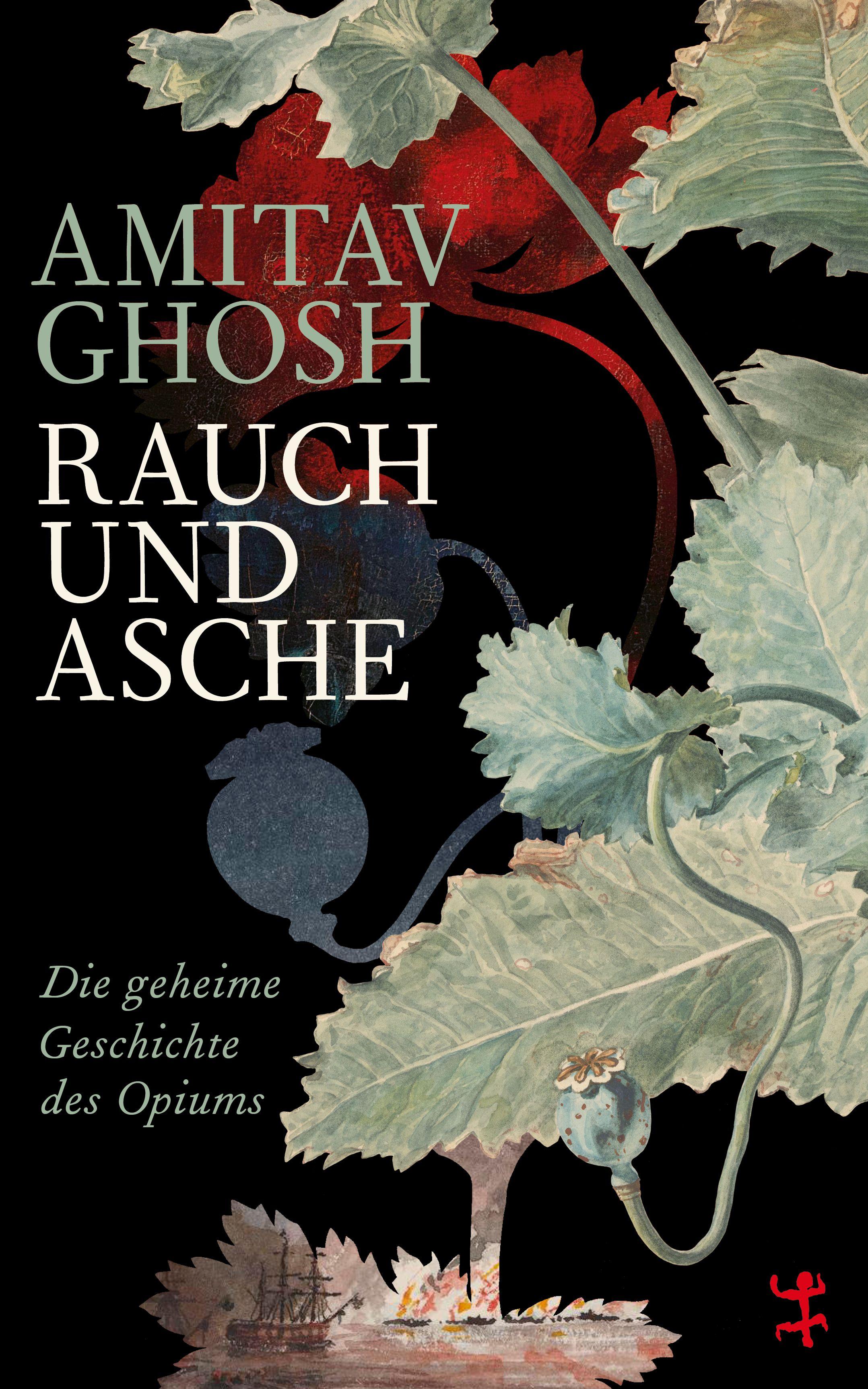 Vorderes Coverbild Rauch und Asche