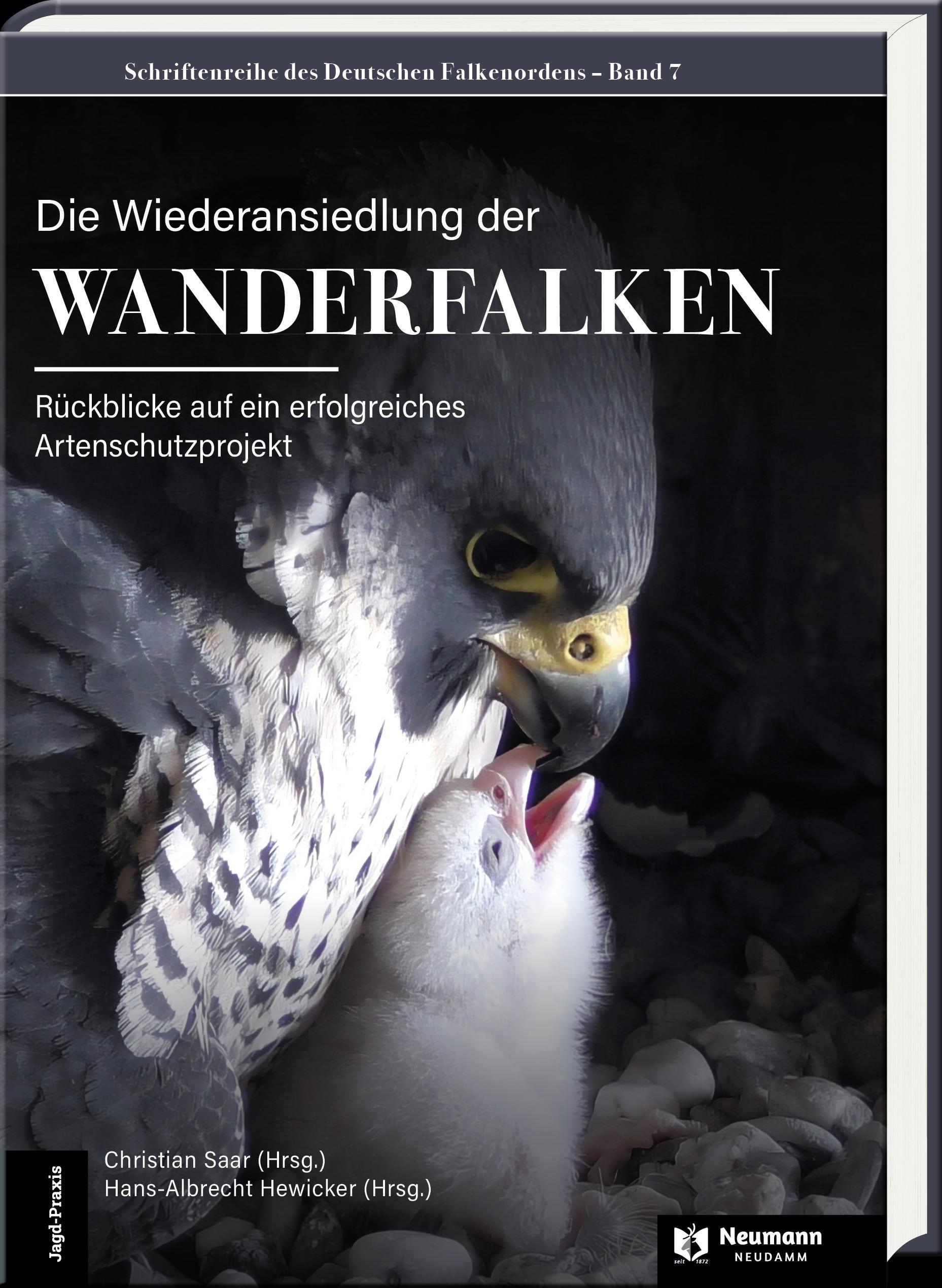 Vorderes Coverbild Die Wiederansiedlung der Wanderfalken