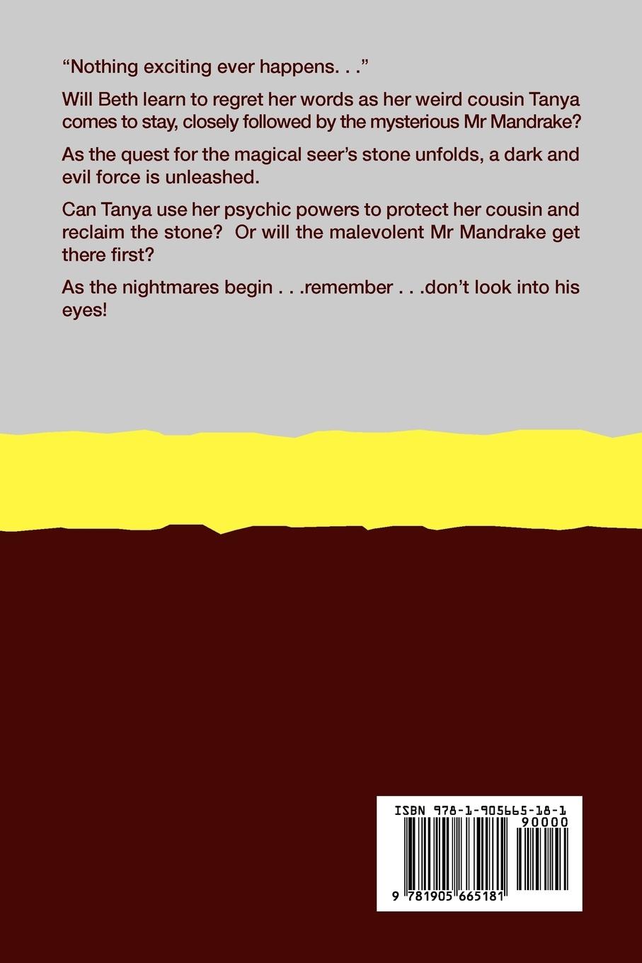 Rückseitencover THE SEER'S STONE Large Print