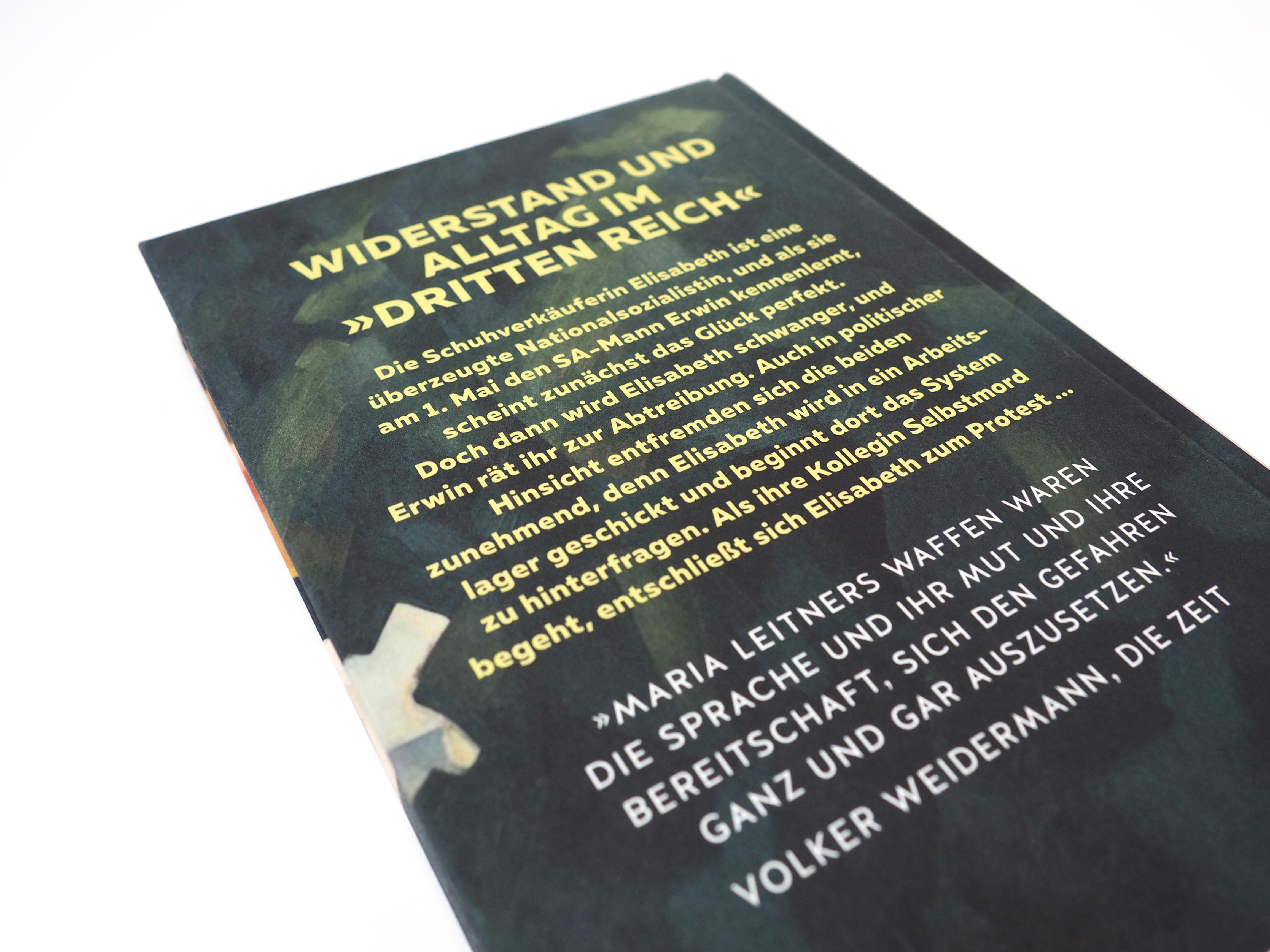 Beispielinhalt (Bild) Elisabeth, ein Hitlermädchen. Roman der deutschen Jugend